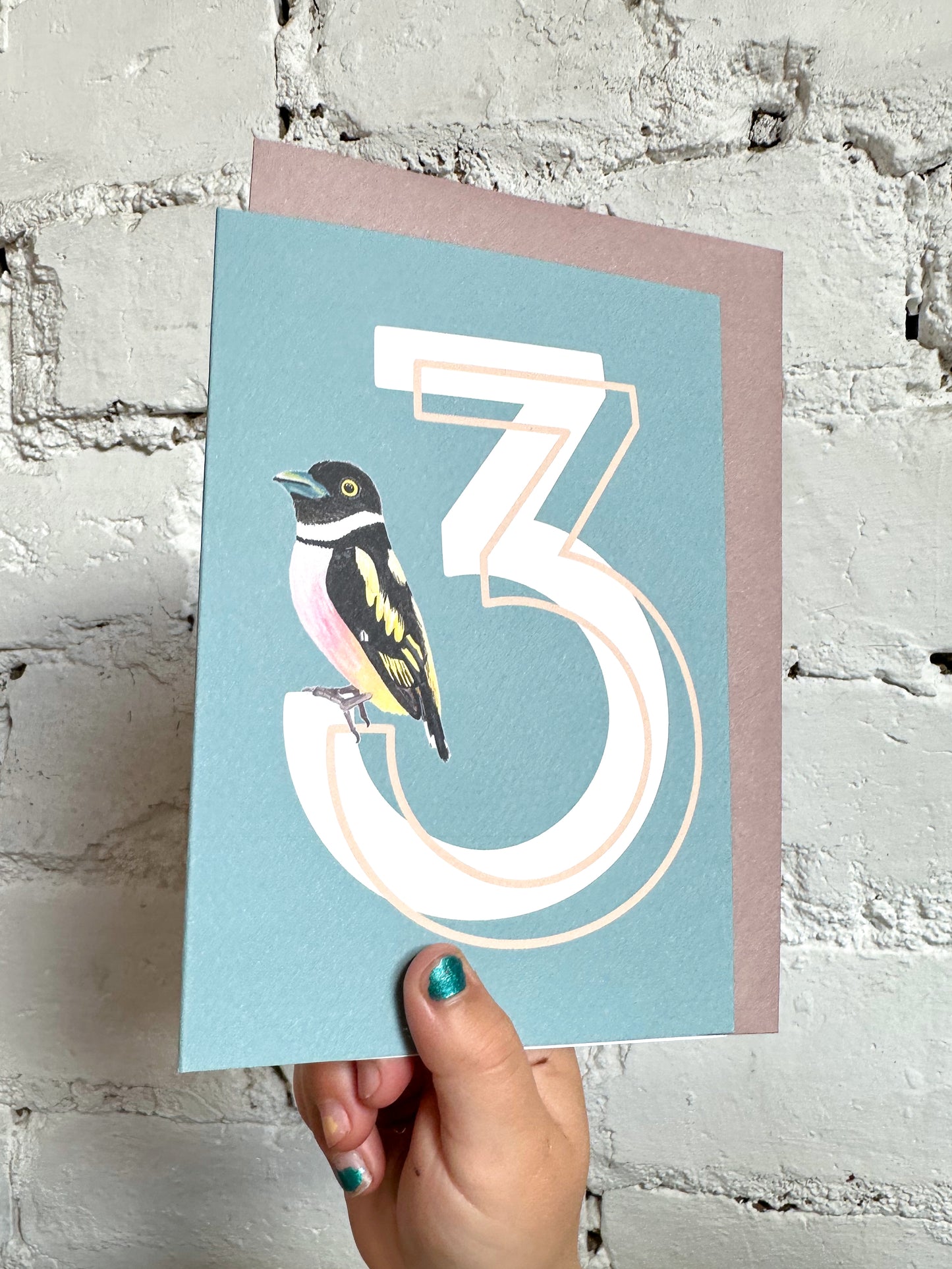 3 Broadbill Bird Card