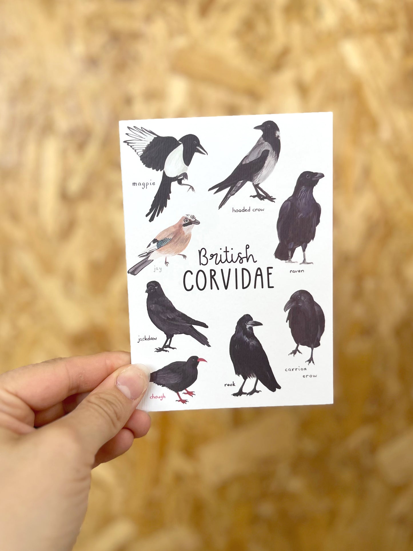 British Corvidae Card