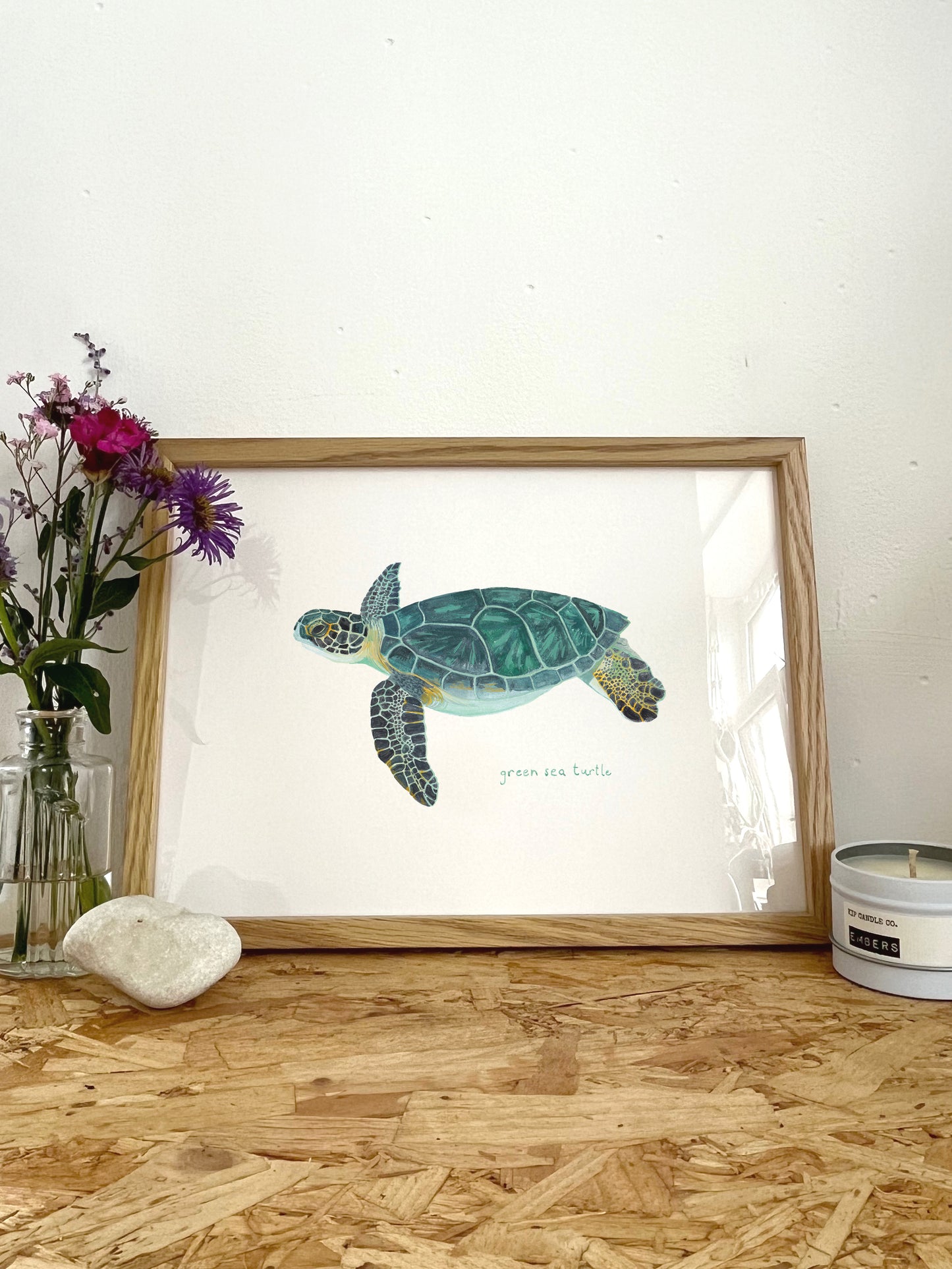 Green Sea Turtle Print
