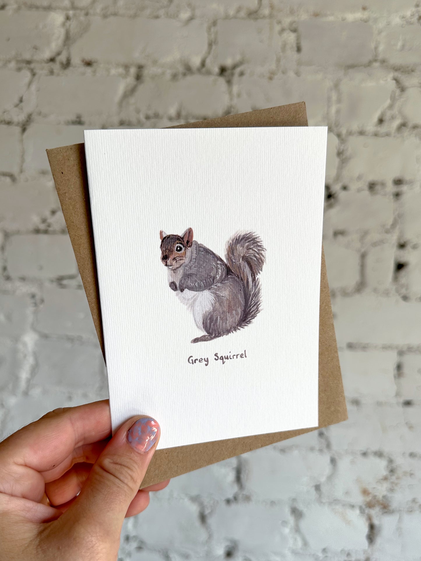Grey Squirrel Card