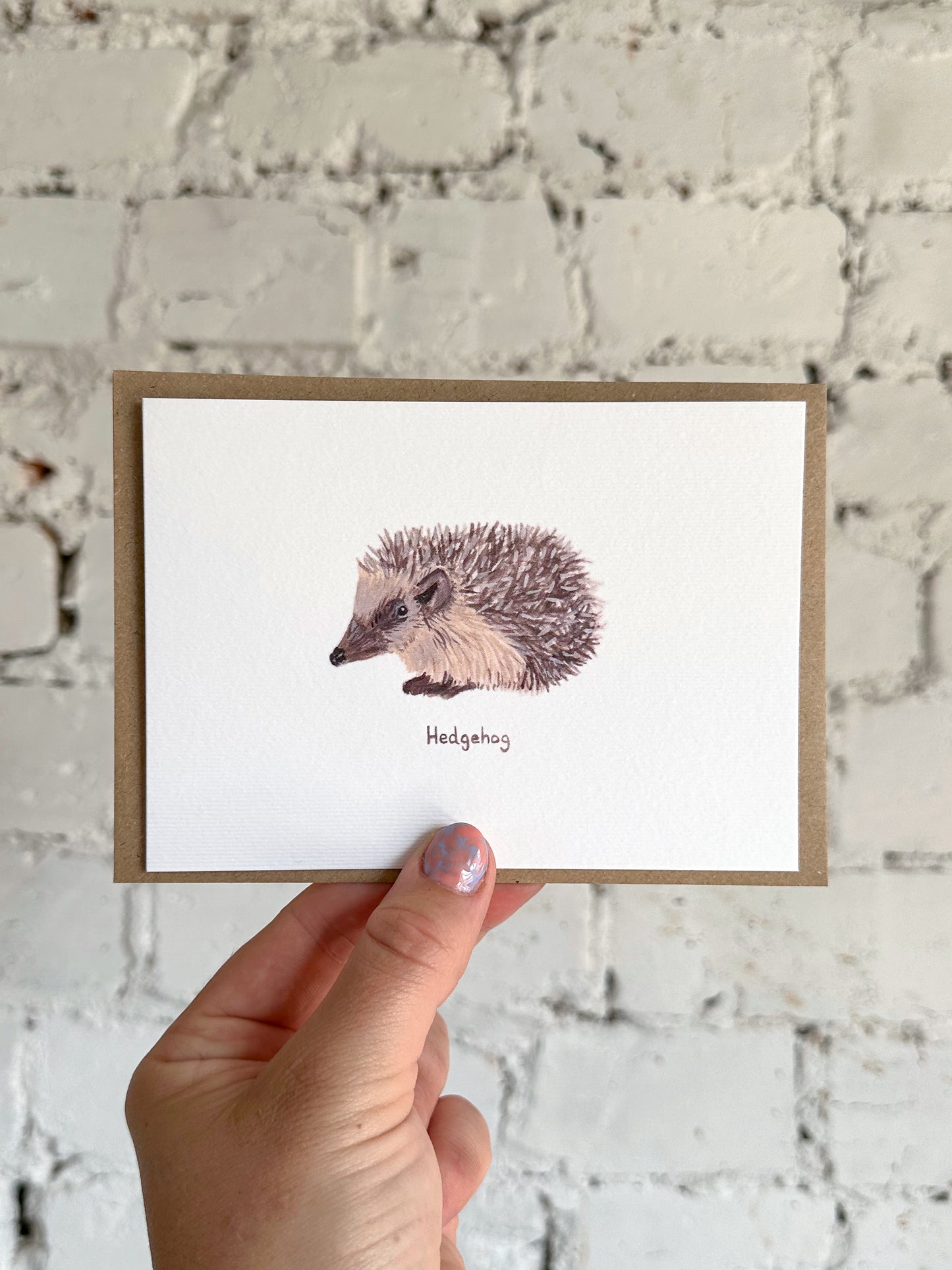 Hedgehog Card