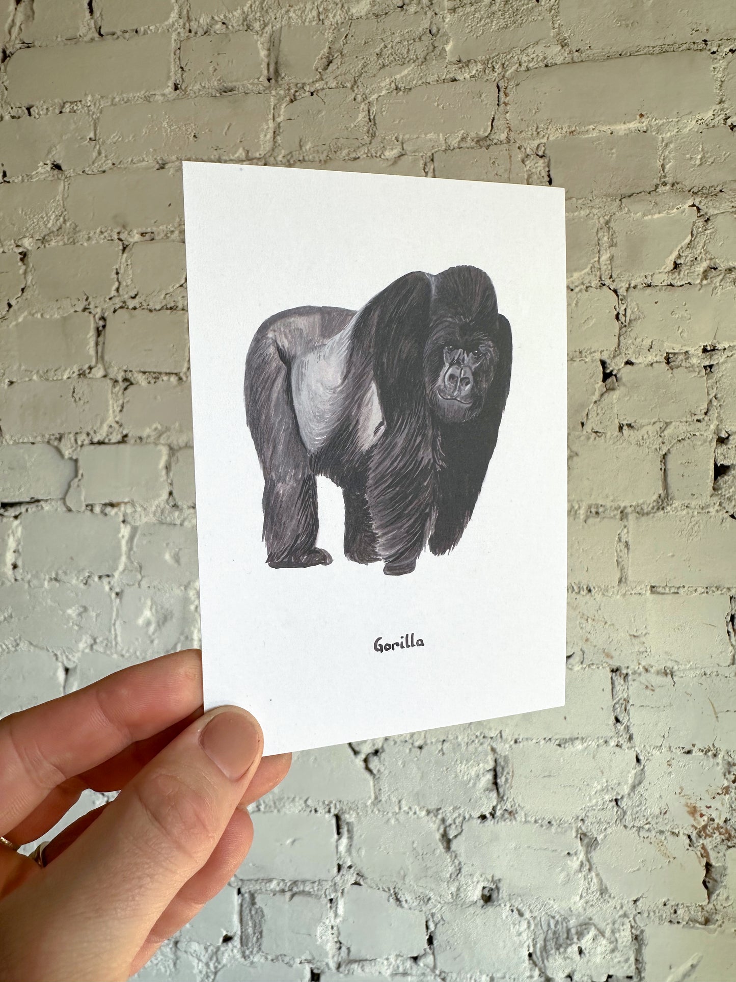 Gorilla Postcard
