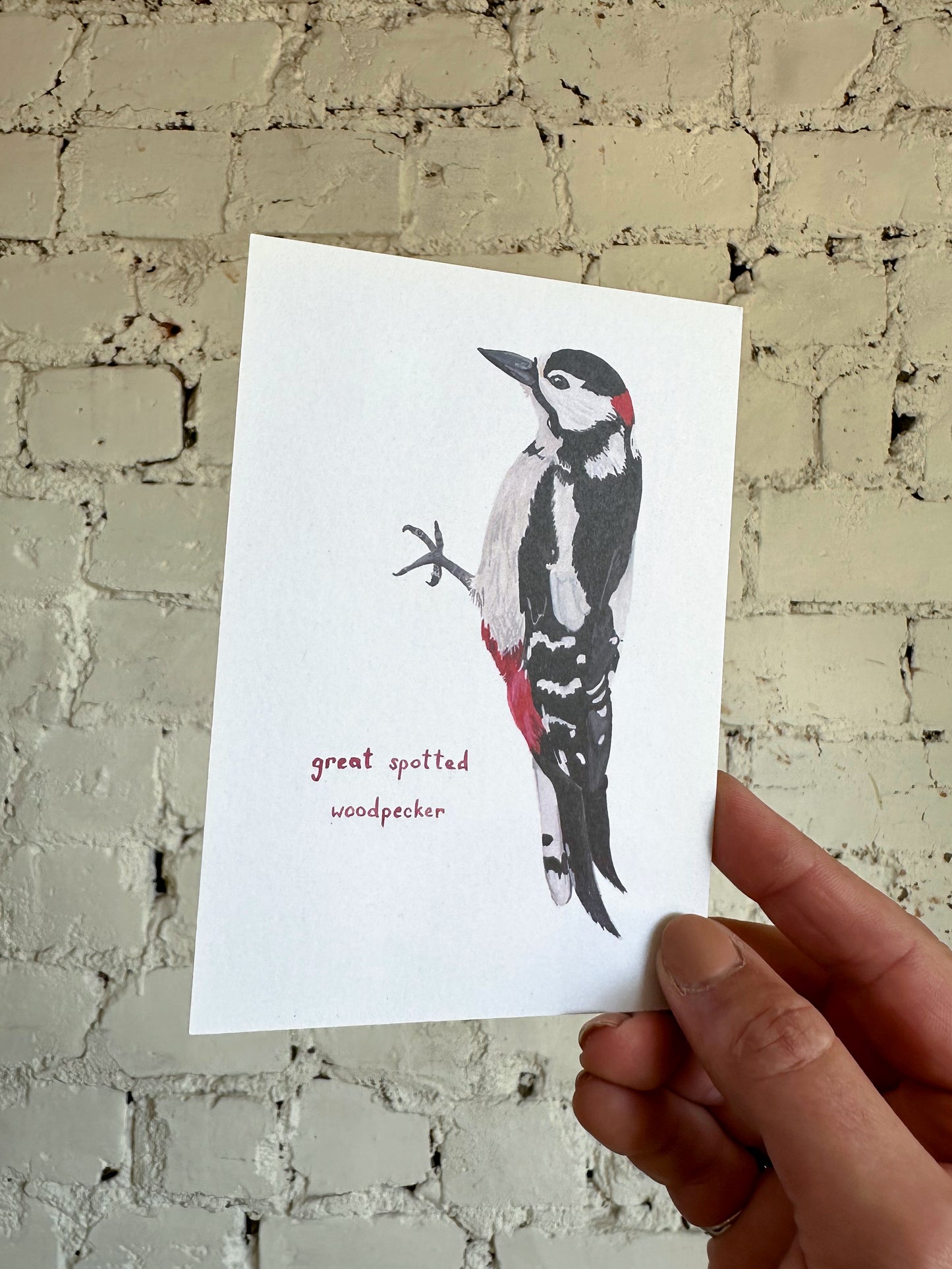 Great Spotted Woodpecker Postcard