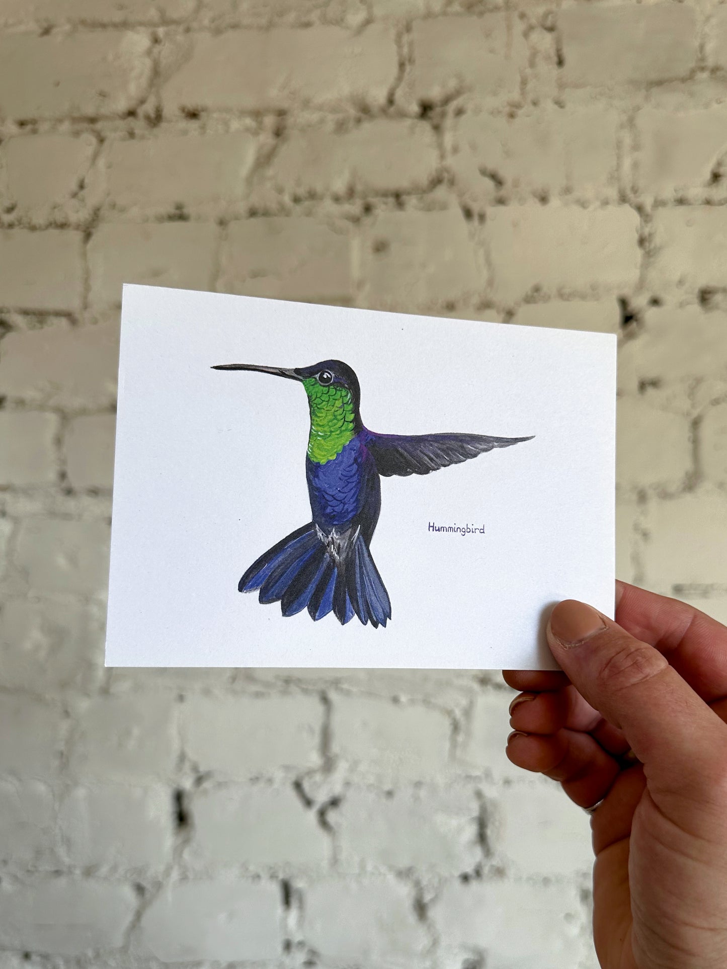 Hummingbird Postcard