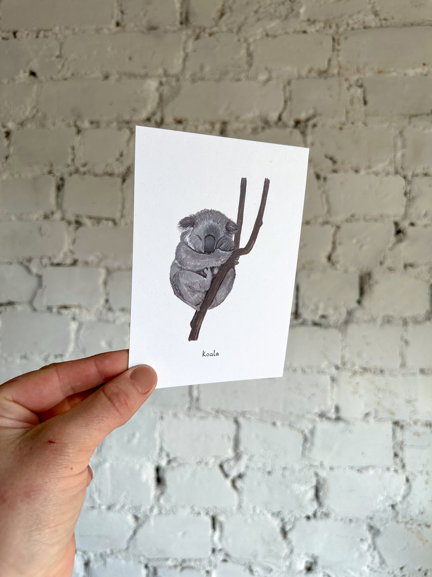 Koala in a Tree Postcard