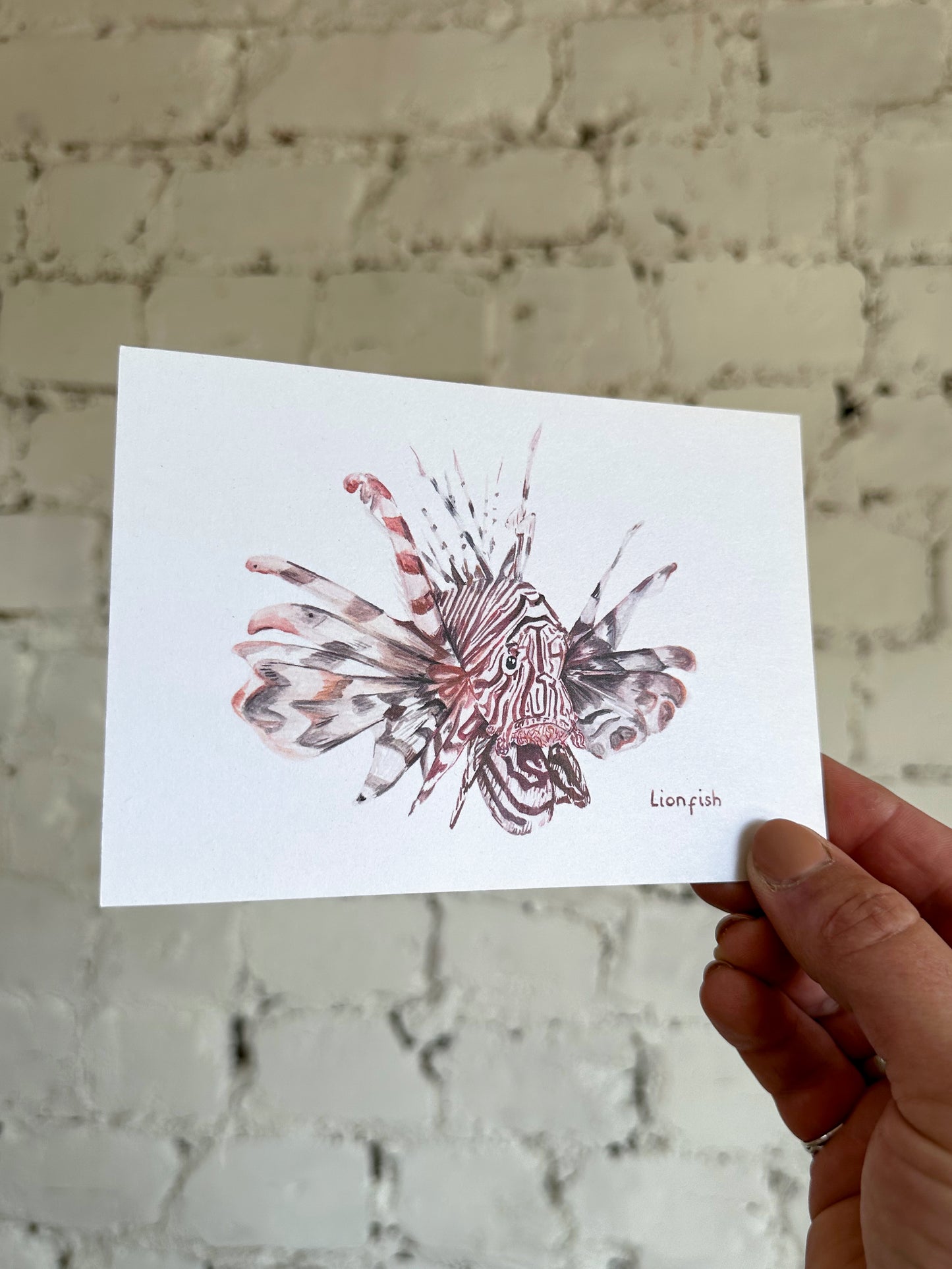Lionfish Postcard