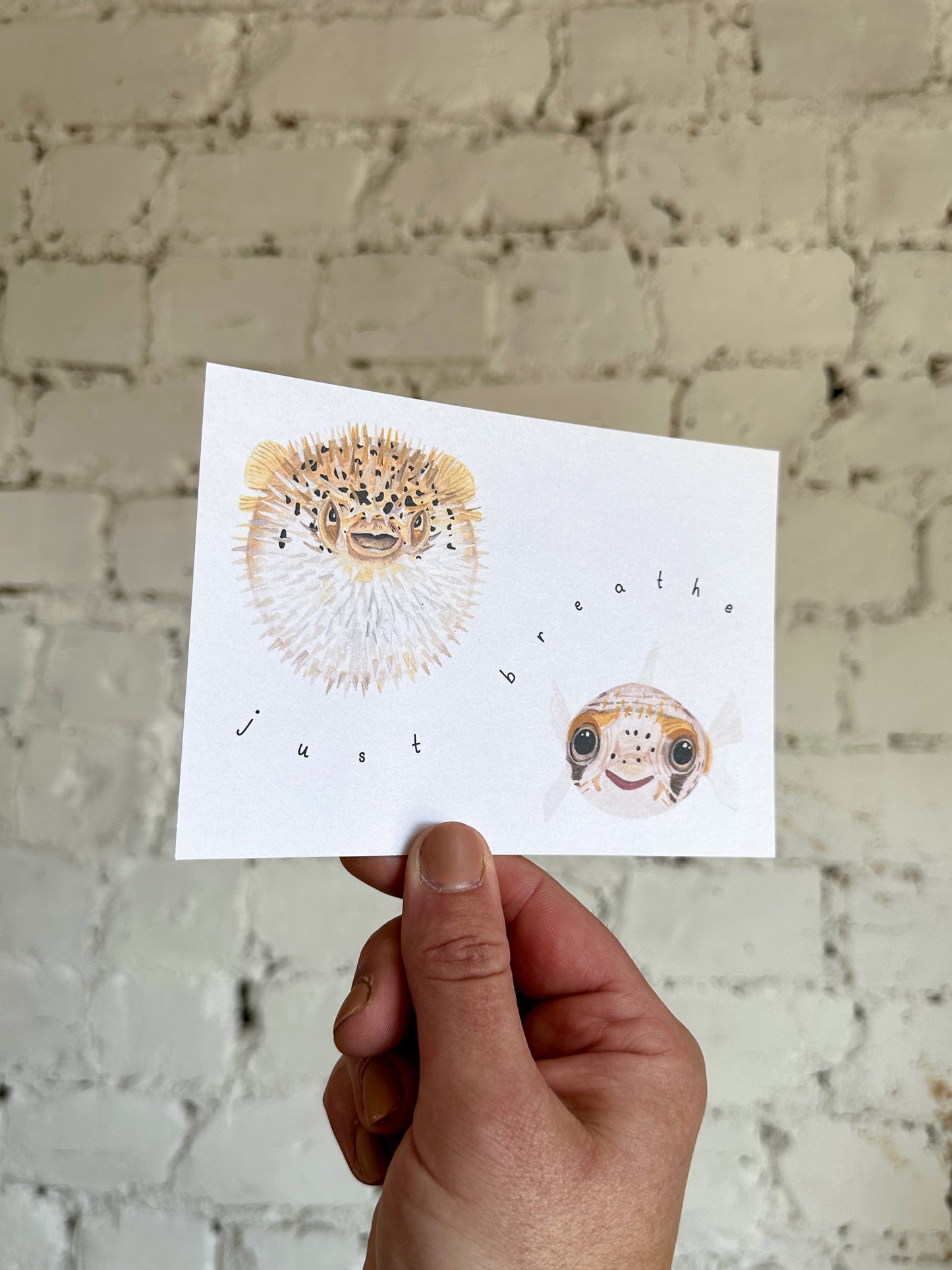 Just Breathe Pufferfish Postcard