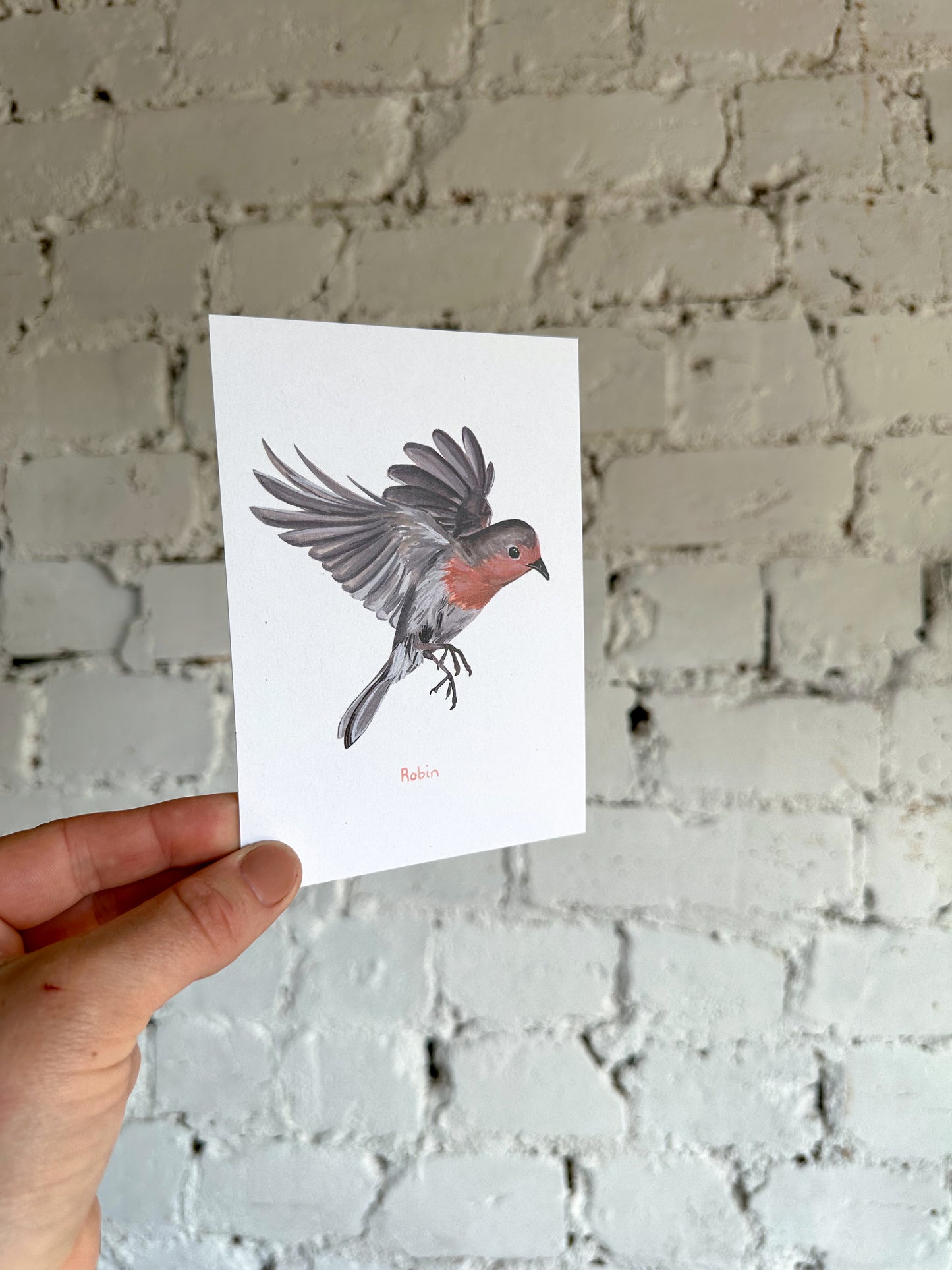 Flying Robin Postcard