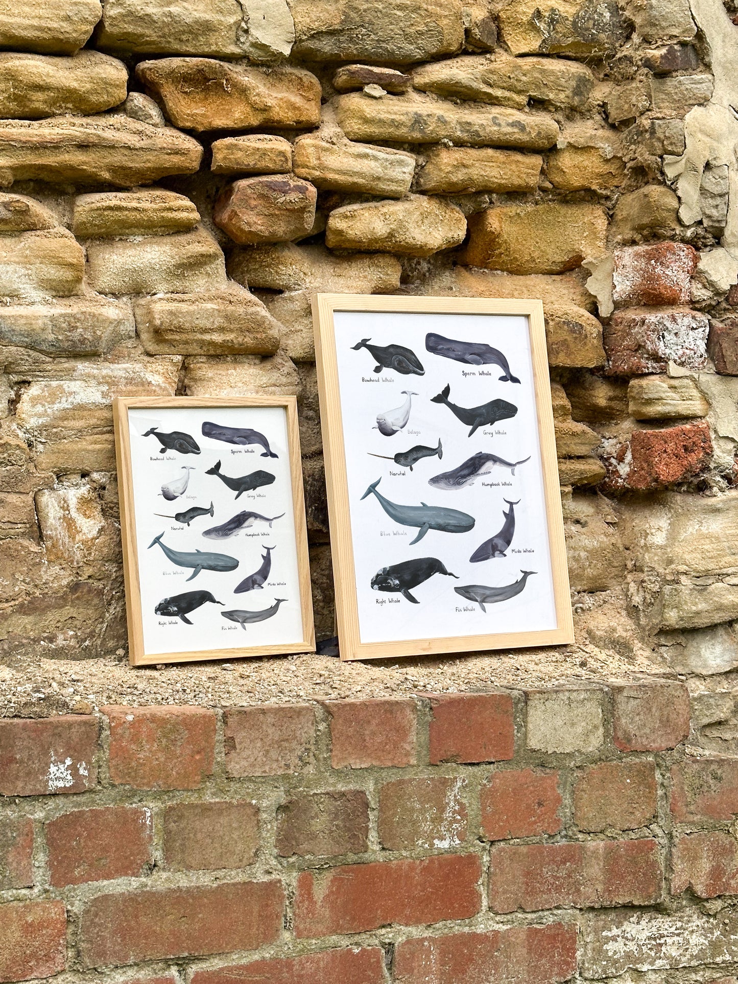 Whales Print