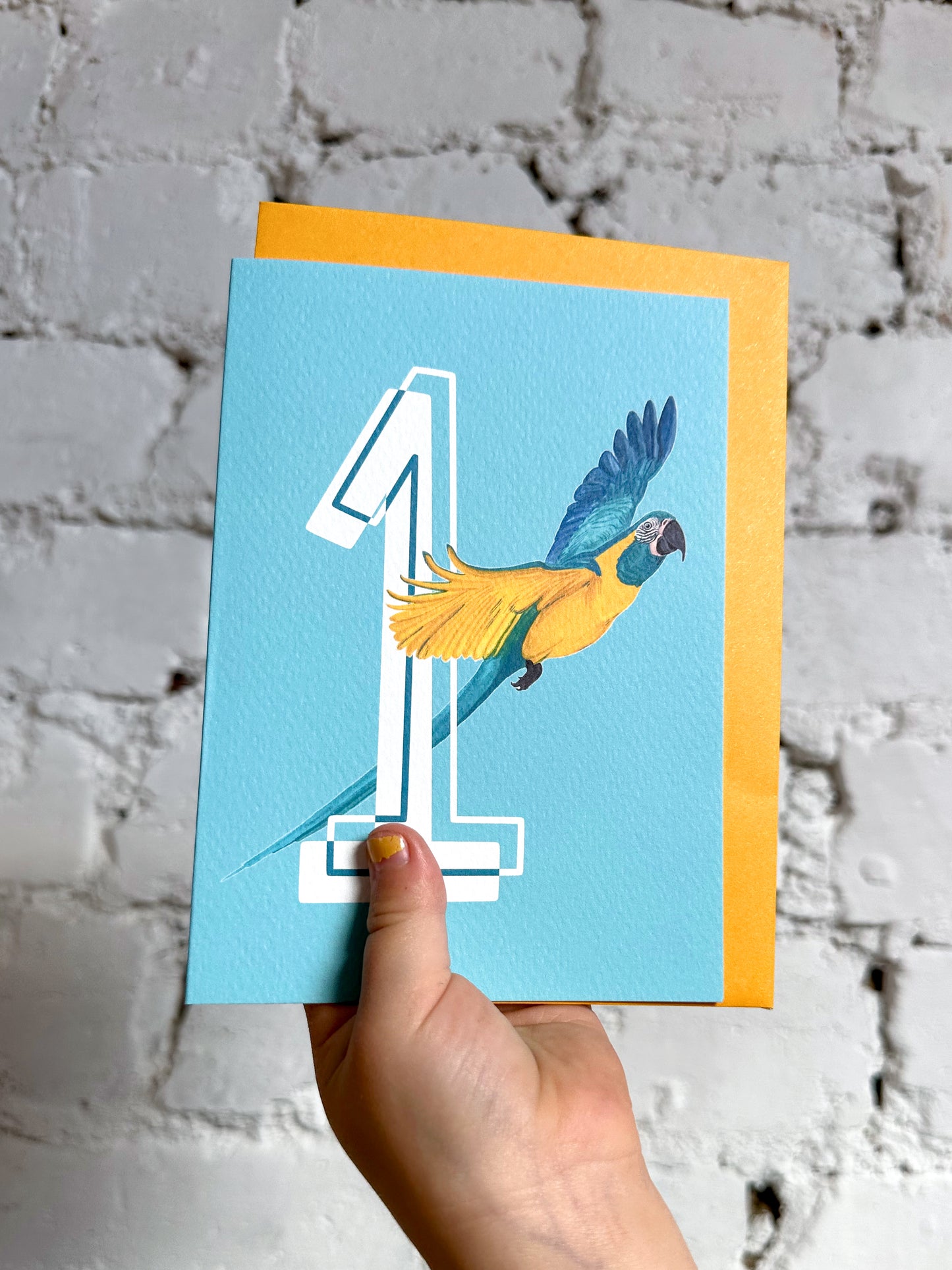 1 Macaw Card