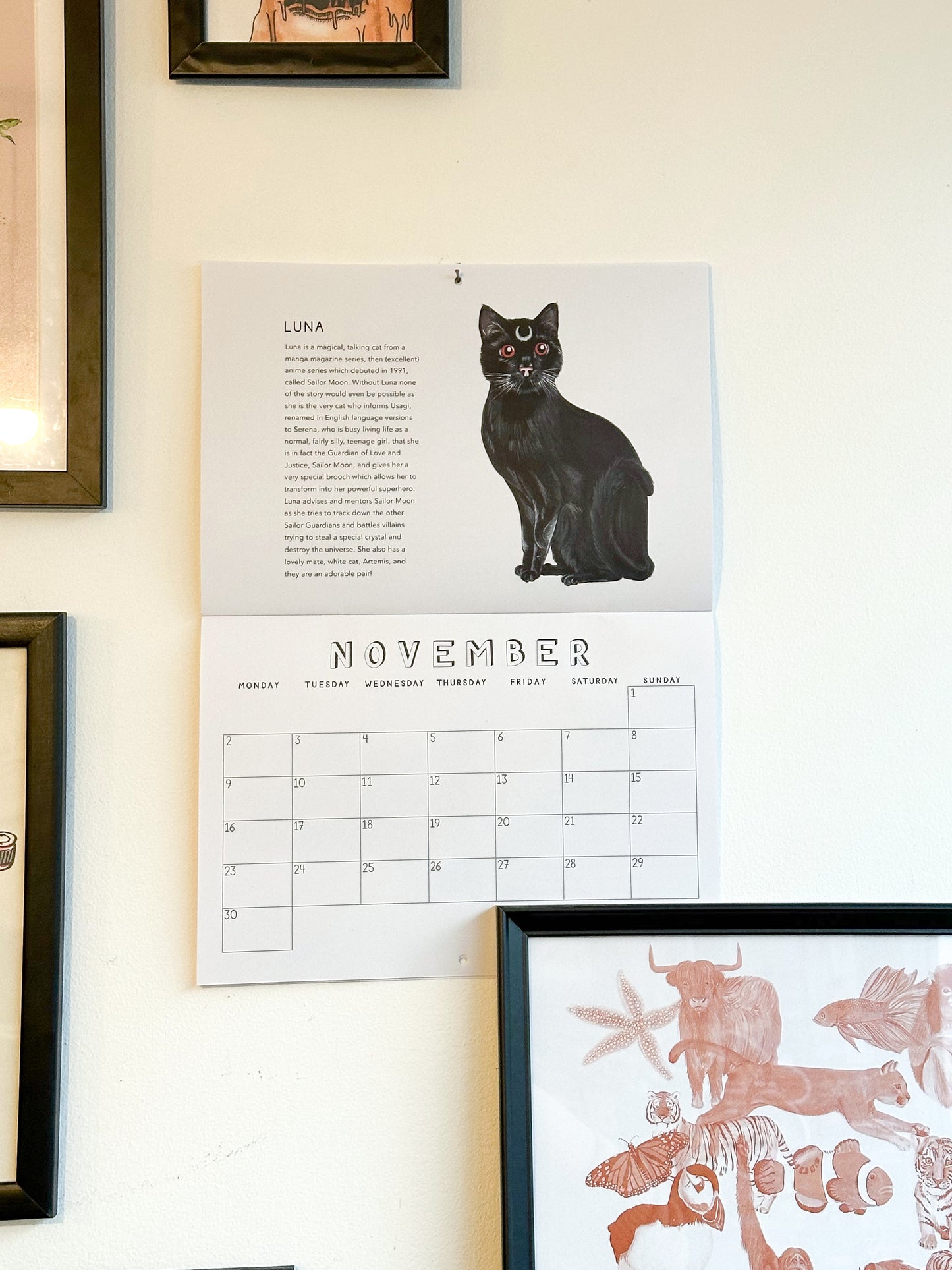 CATS (- from fiction/history but made real) 2026 Calendar