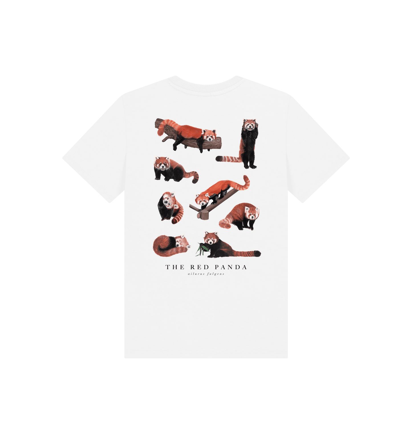 White Printed Kids T-Shirt Back