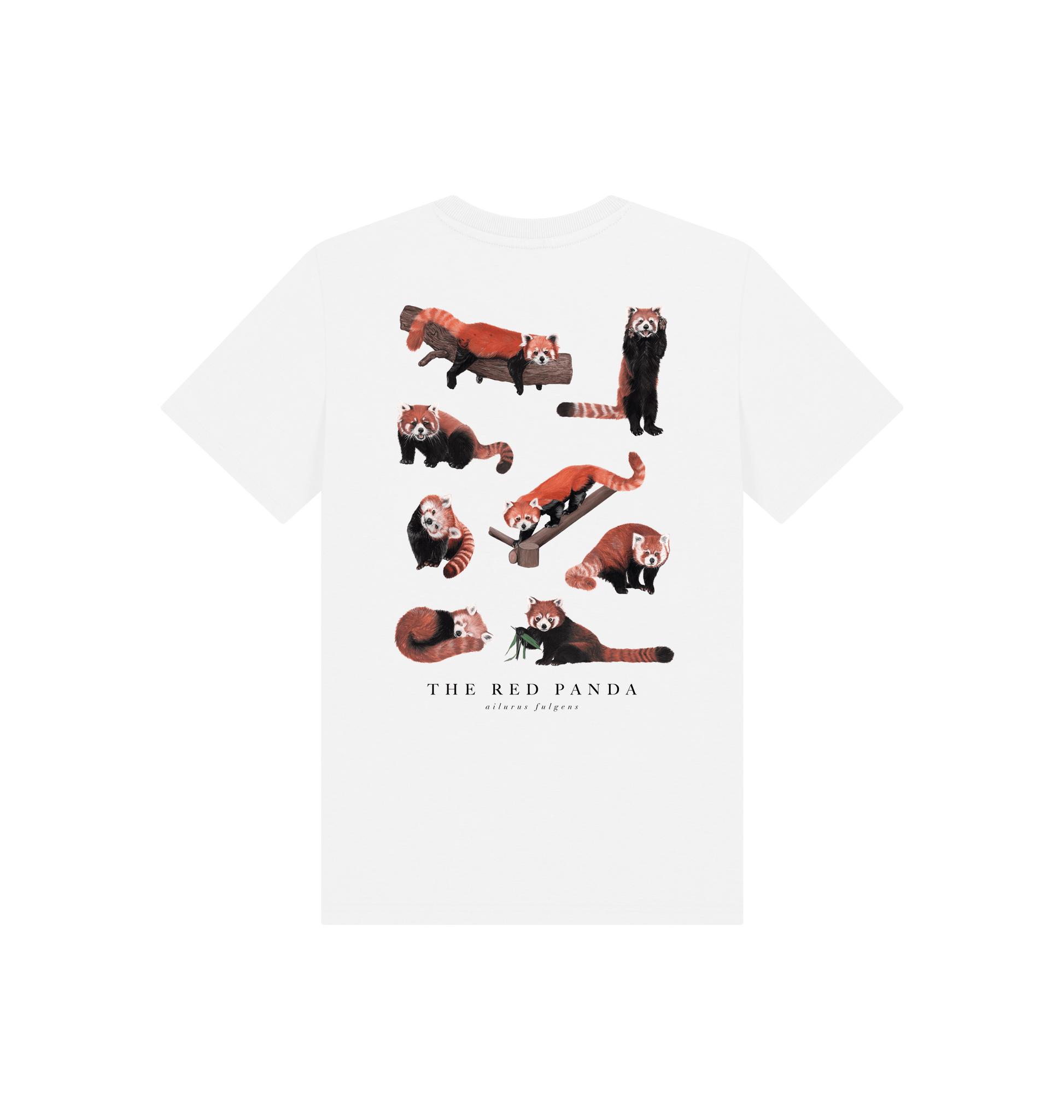 White Printed Kids T-Shirt Back