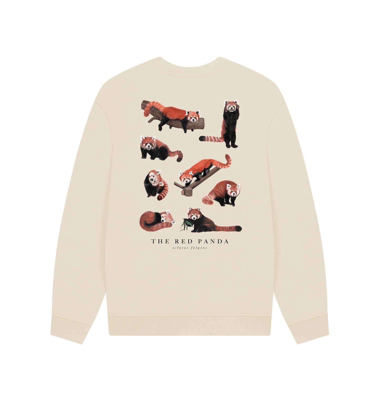 Oat Printed Sweater Back