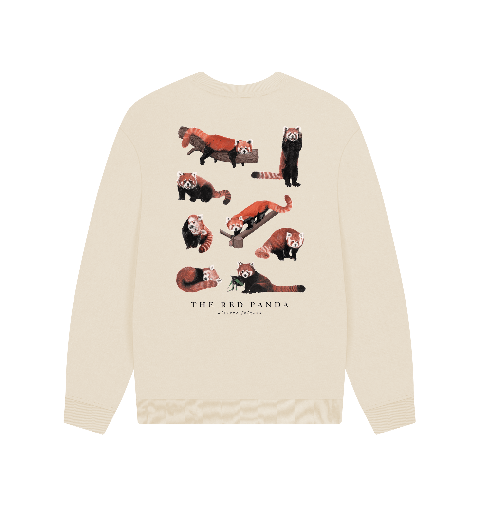 Oat Printed Sweater Back