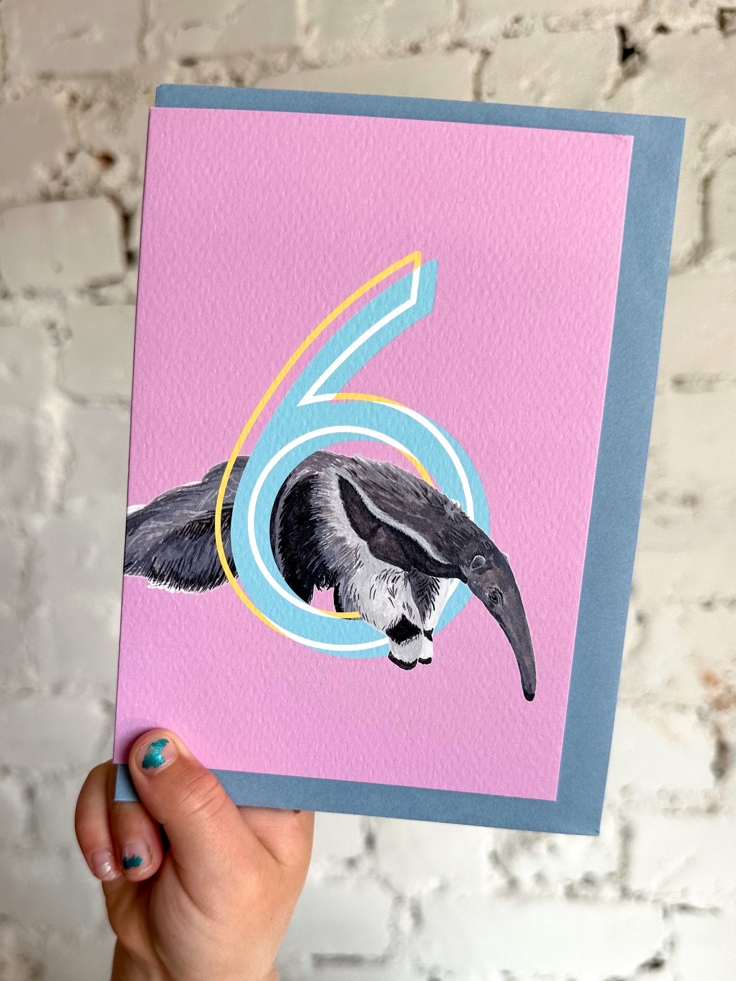 6 Anteater Card