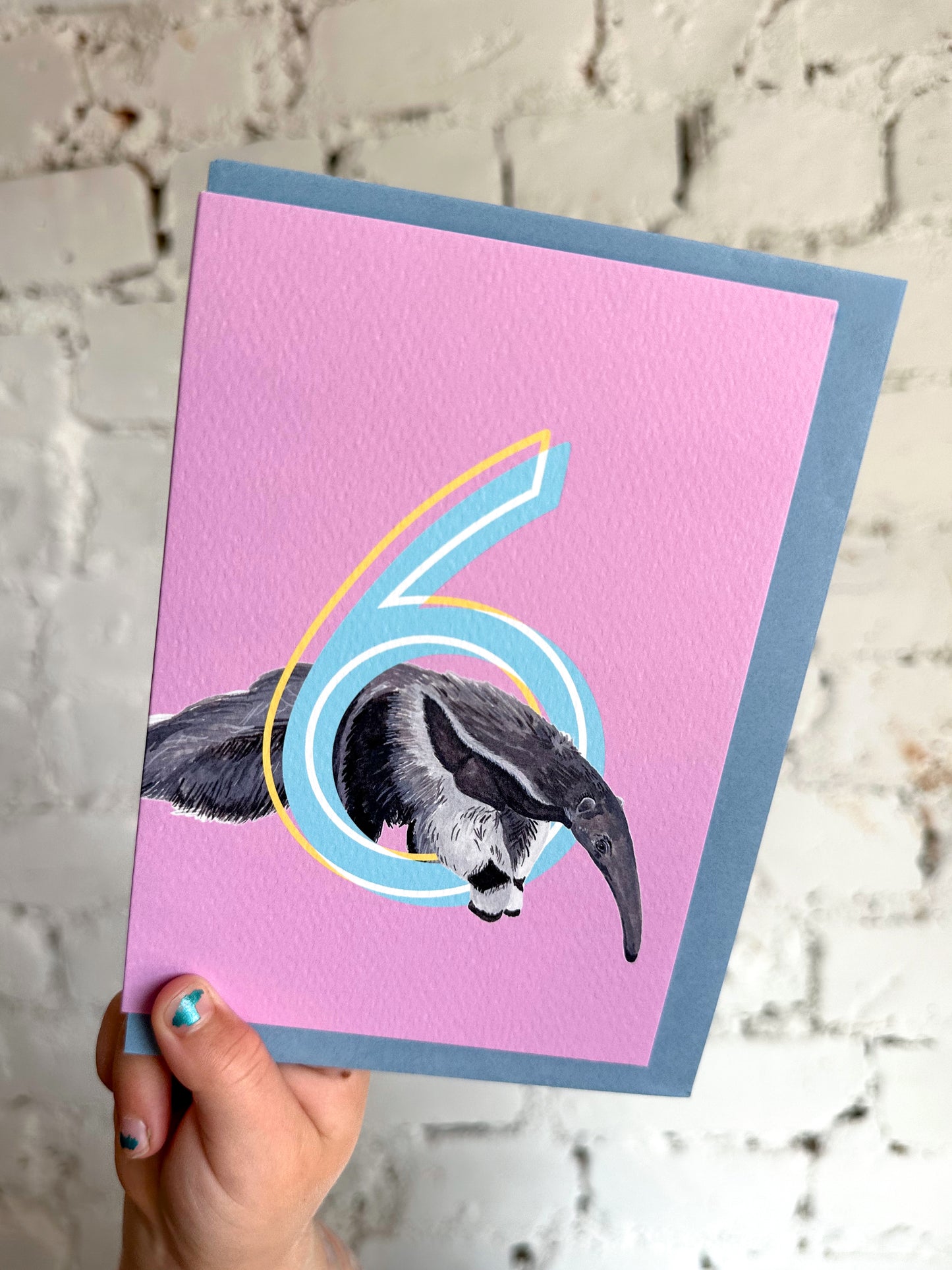 6 Anteater Card