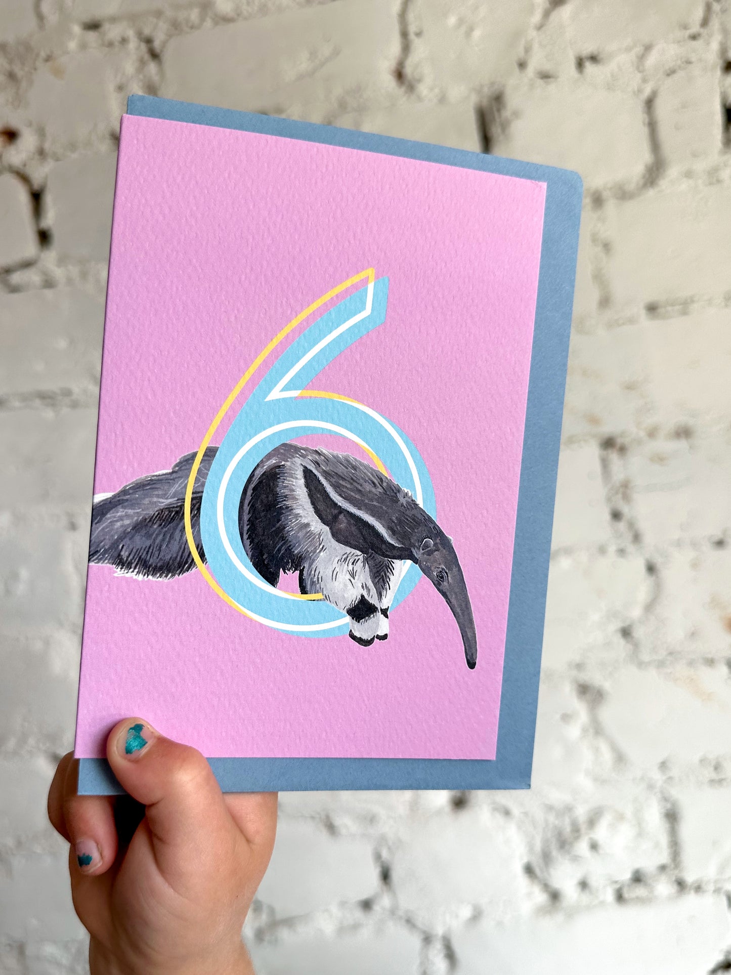 6 Anteater Card