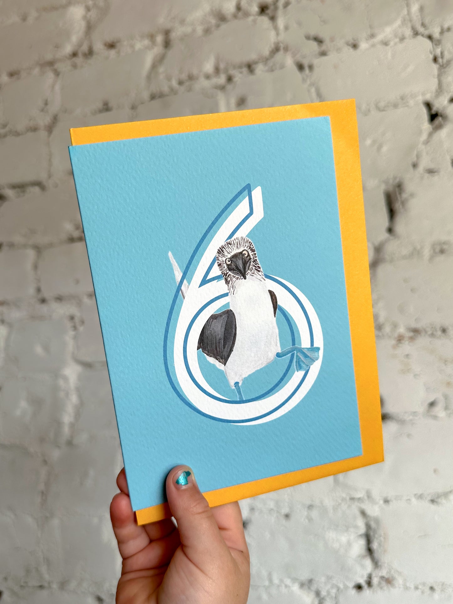 6 Blue Footed Booby Bird Card