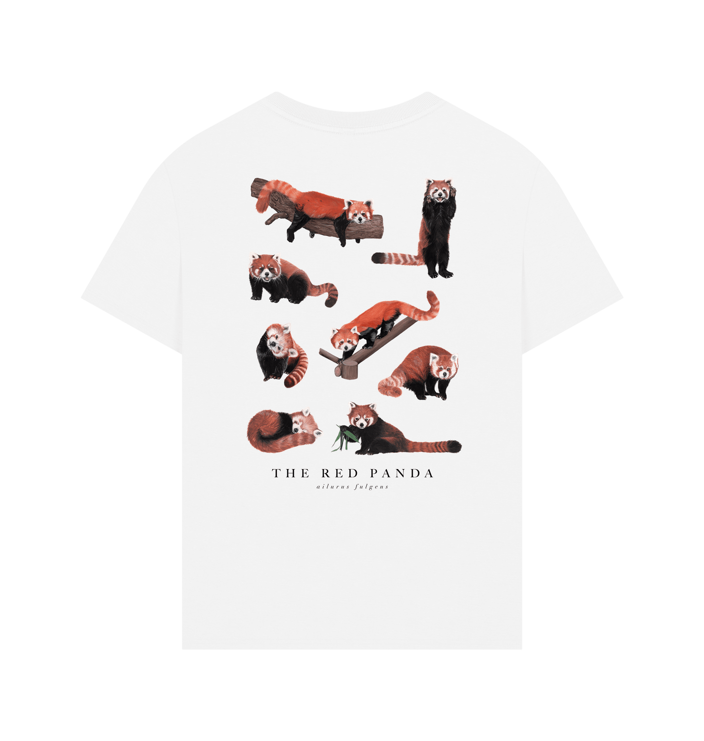 White Printed T-shirt Back
