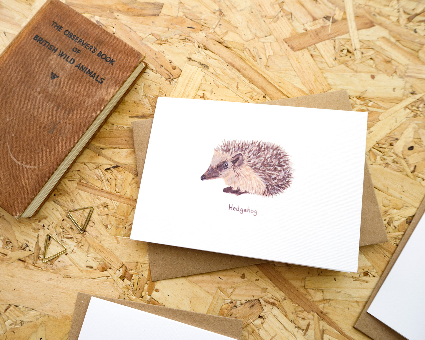 British Wildlife Luxury Blank Card Pack