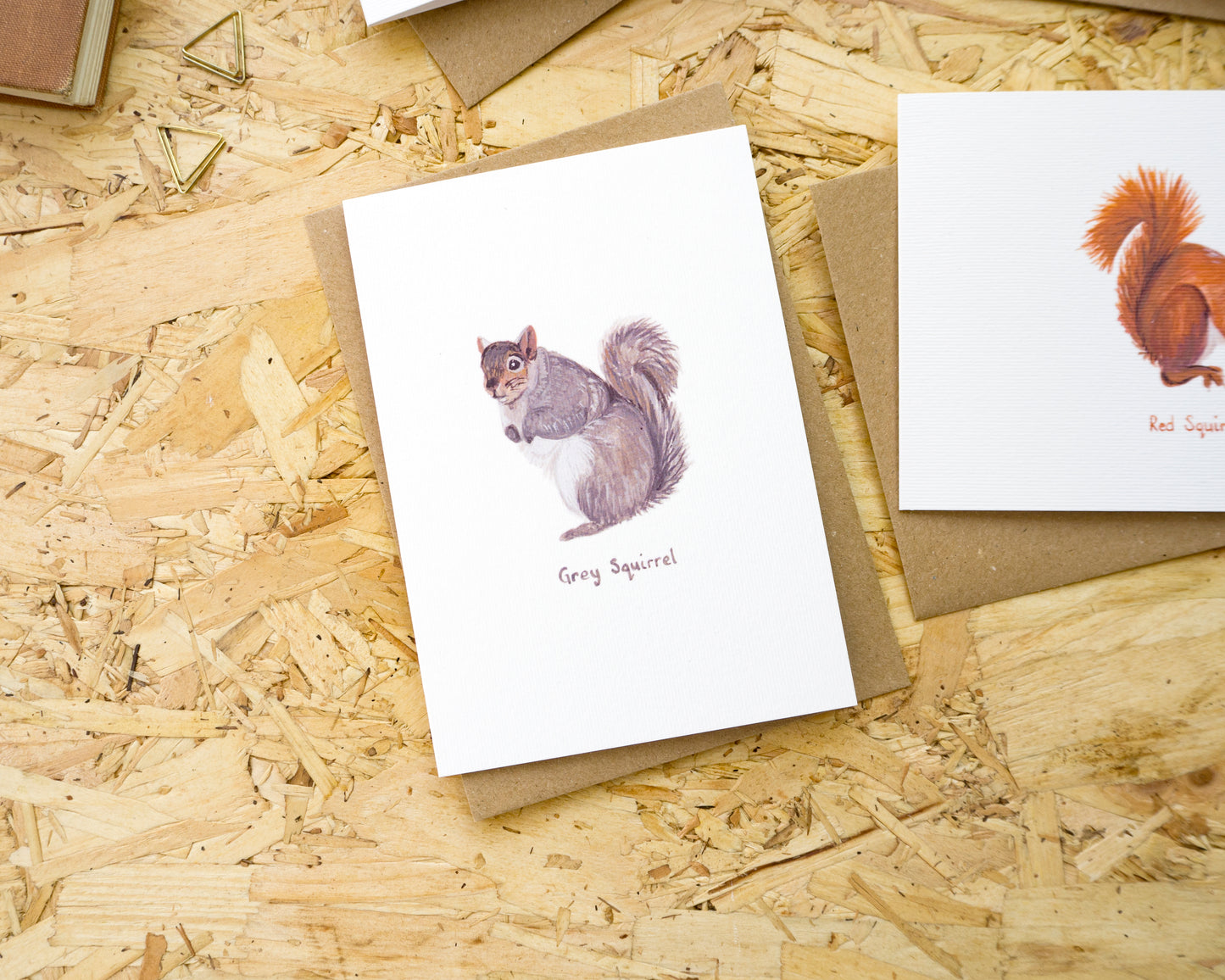 British Wildlife Luxury Blank Card Pack