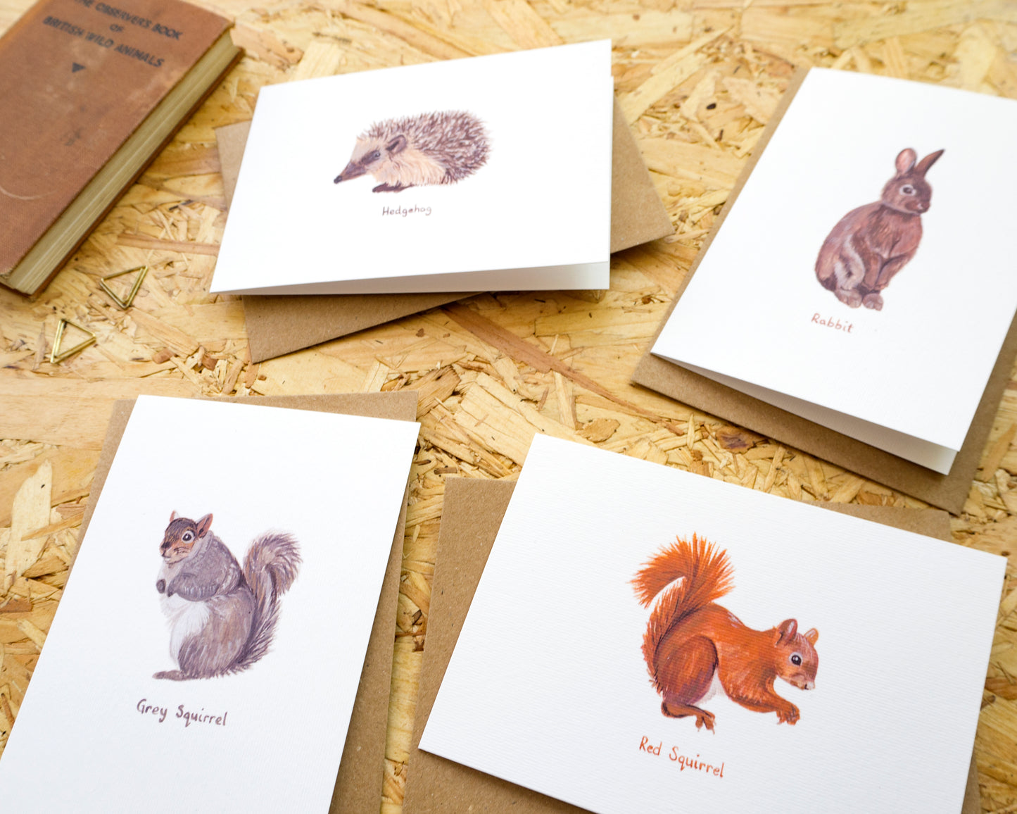 British Wildlife Luxury Blank Card Pack