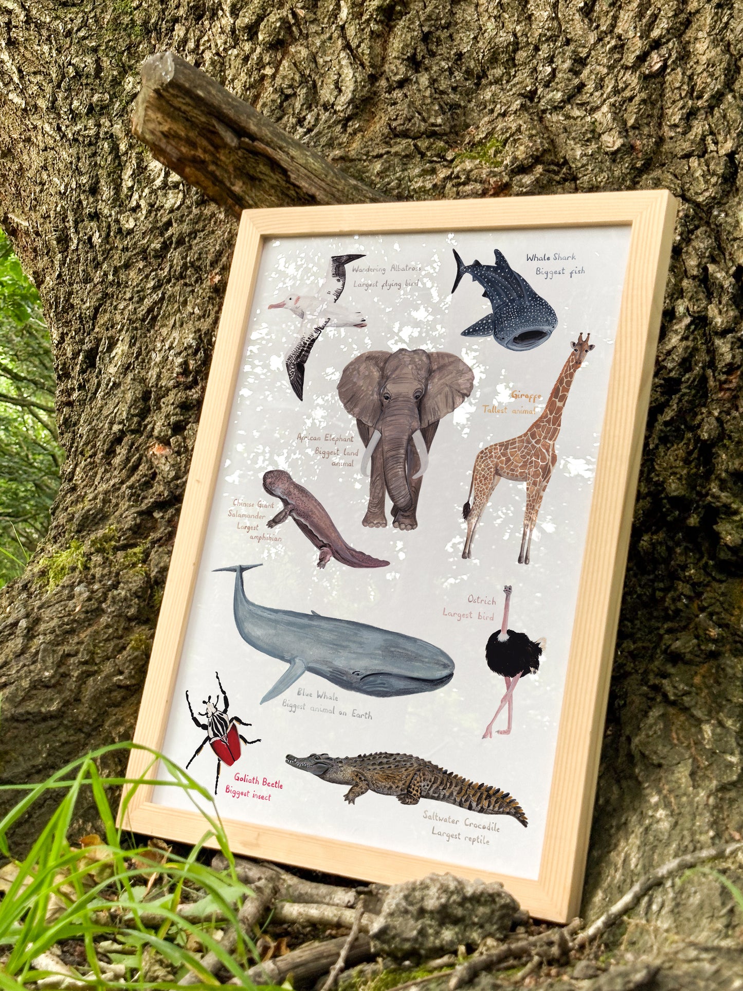 All the Biggest Animals Print