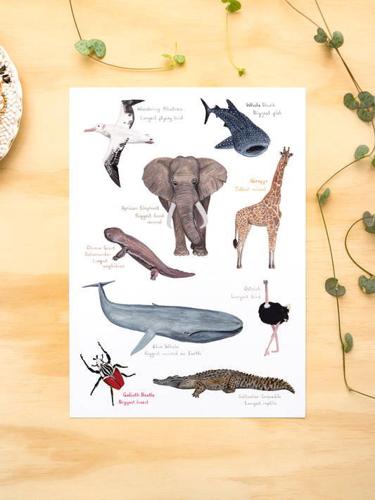 All the Biggest Animals Print