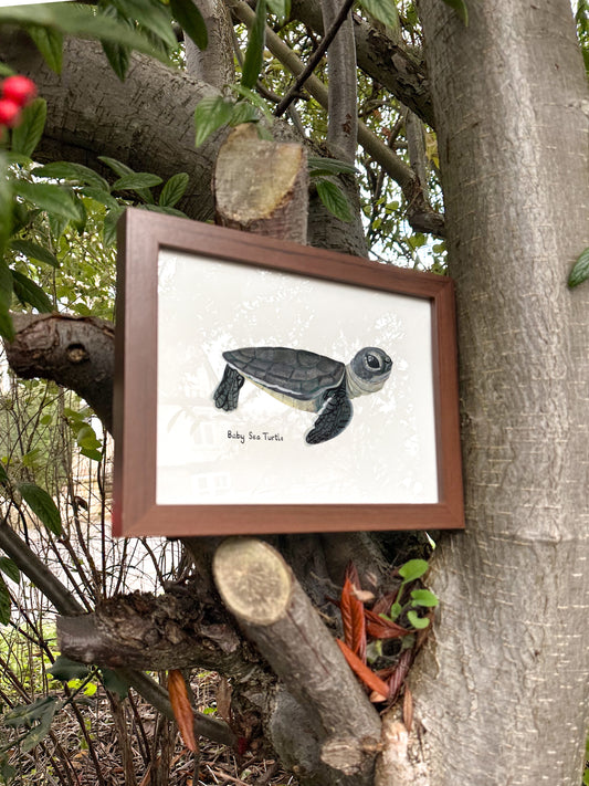 Baby Sea Turtle Print