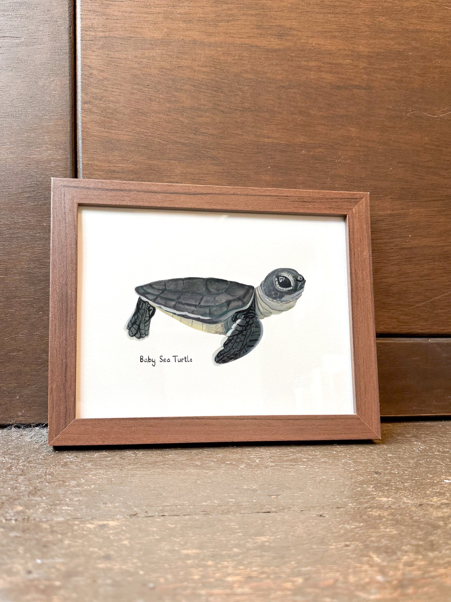 Baby Sea Turtle Print