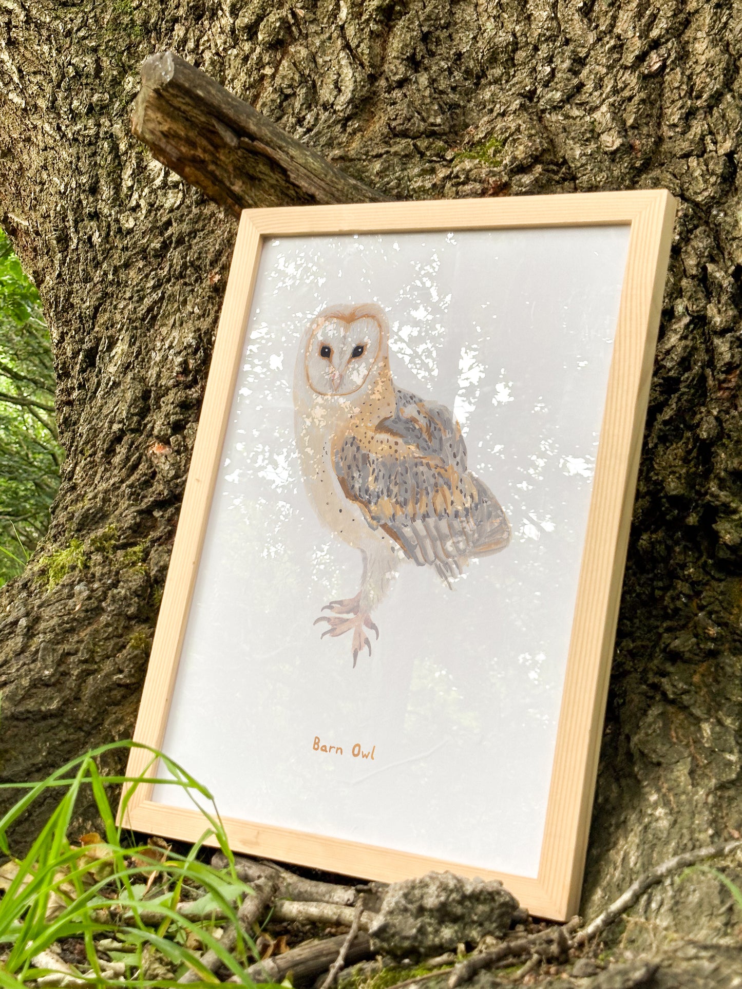 Barn Owl Print