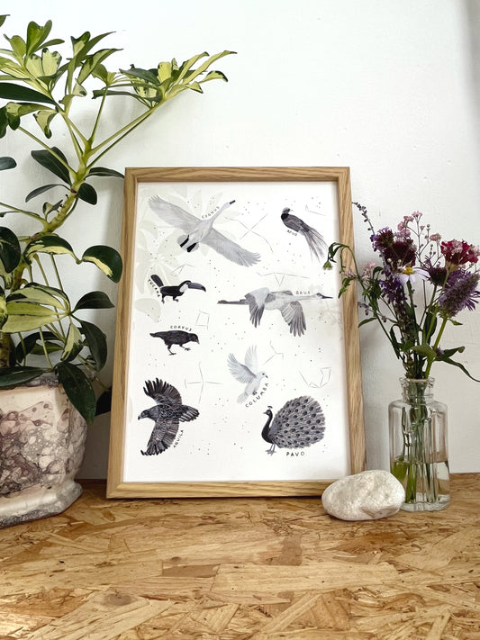 Bird Constellations Print