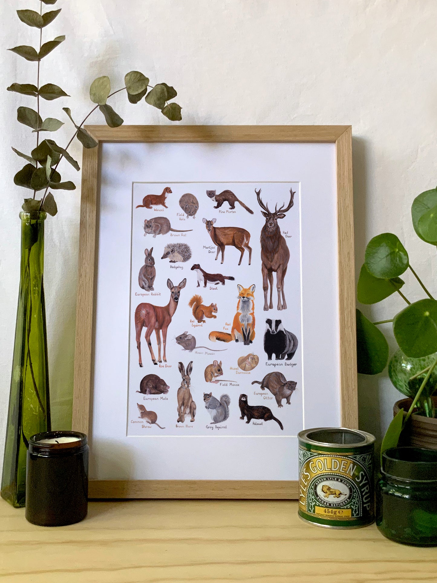 British Mammals Print