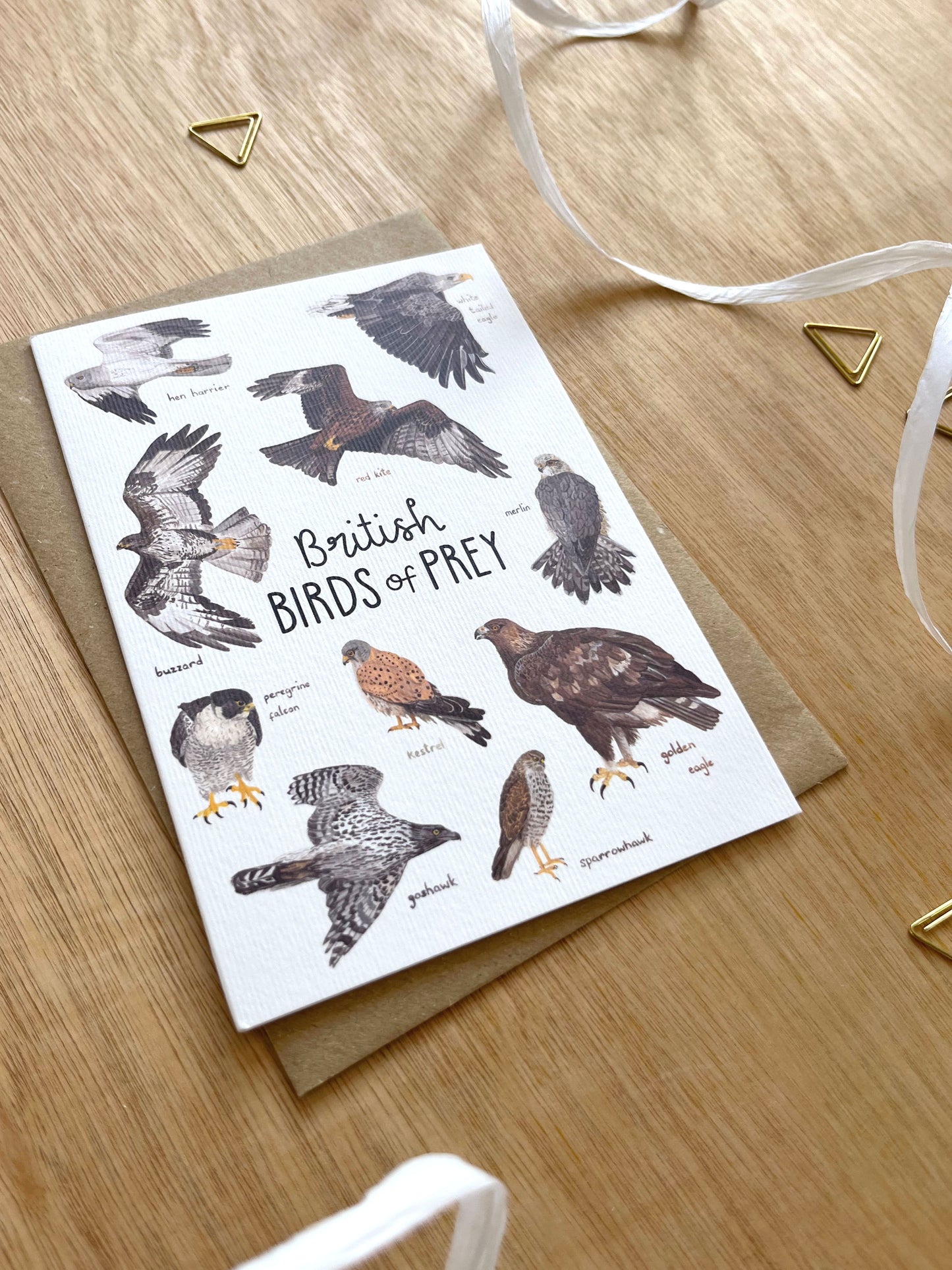 British Birds of Prey  Card