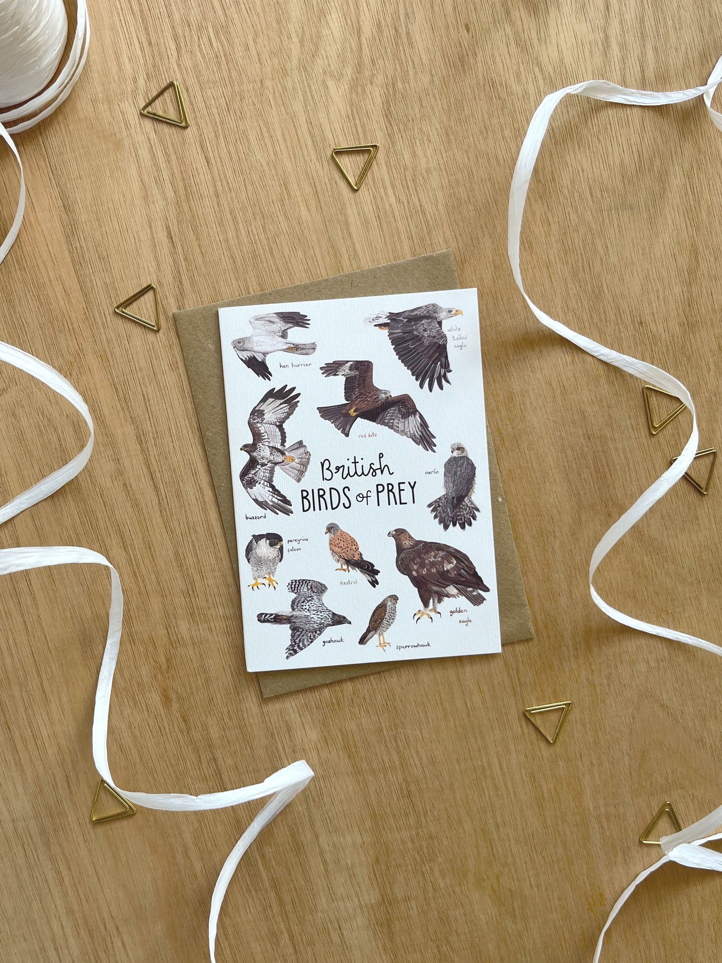 British Birds of Prey  Card