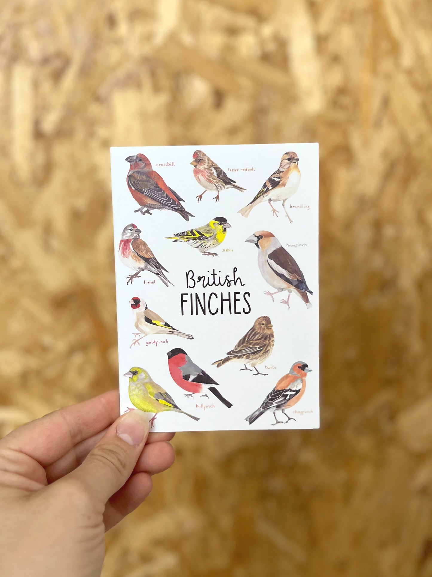 British Finches Card