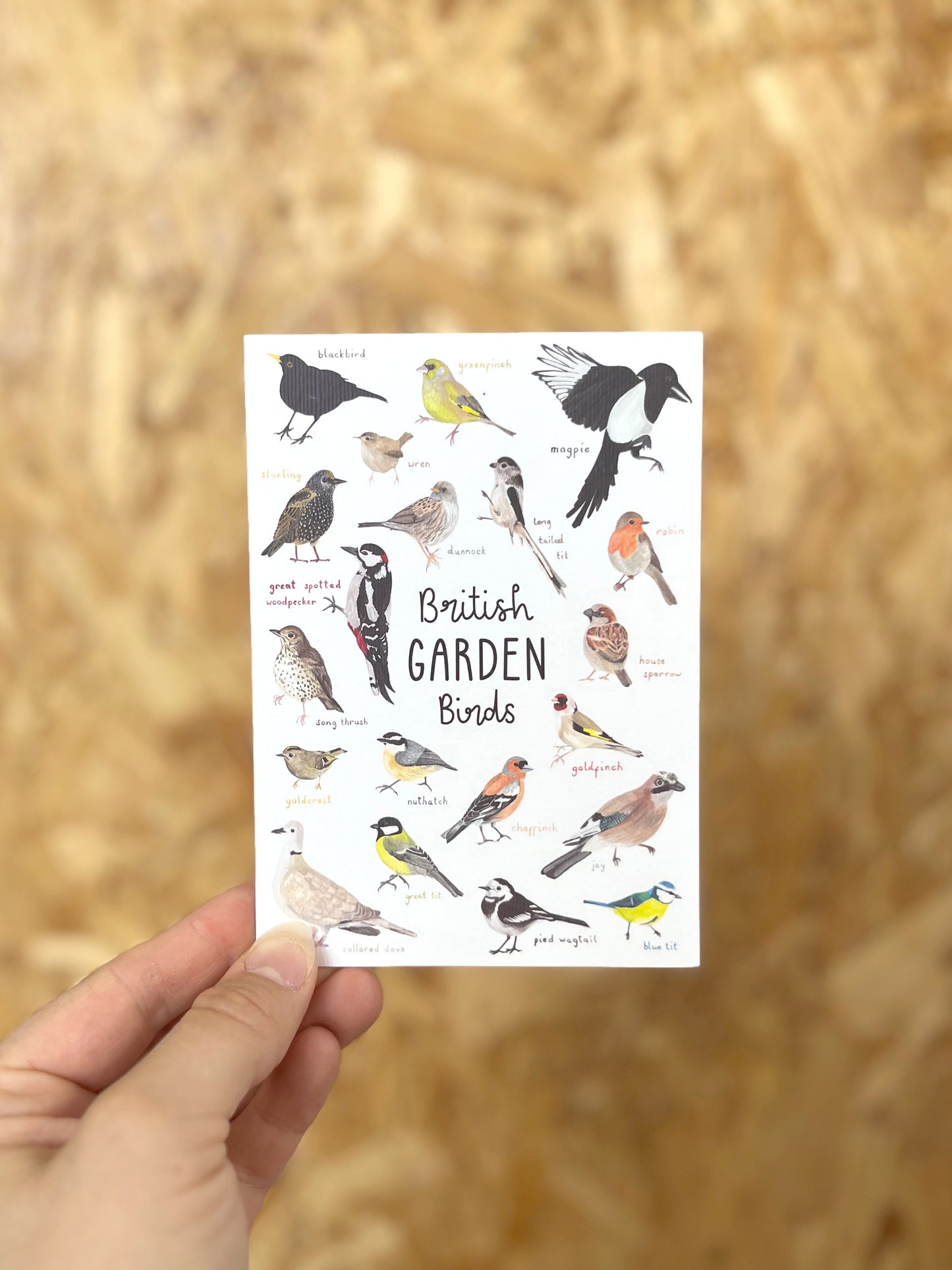 British Garden Birds Card