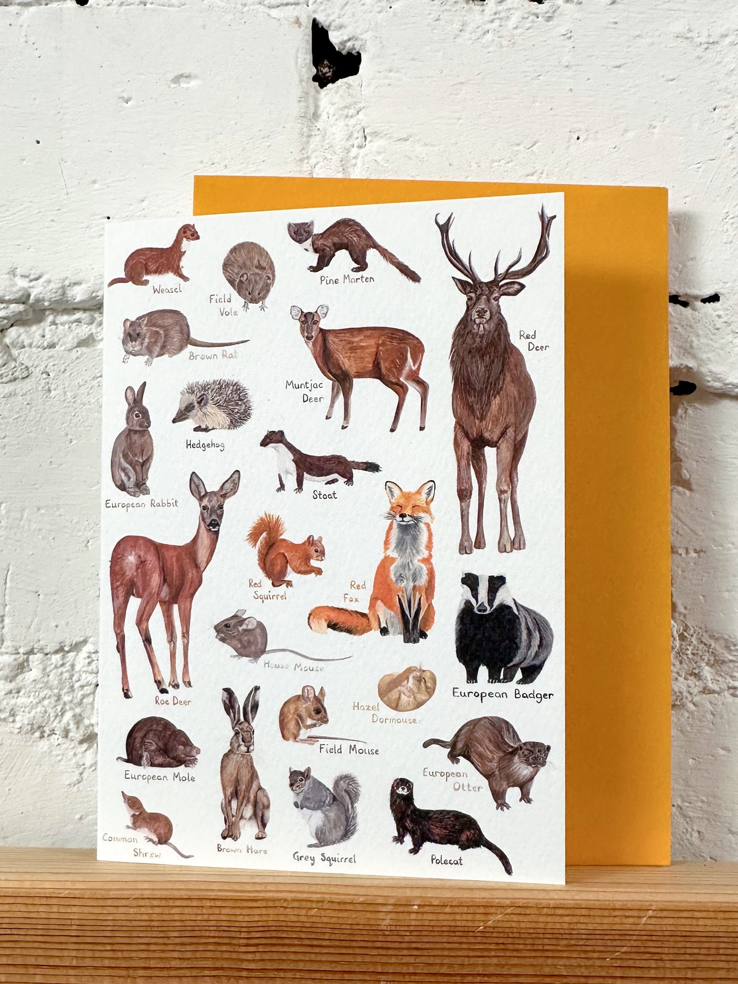 Woodland Animals Card