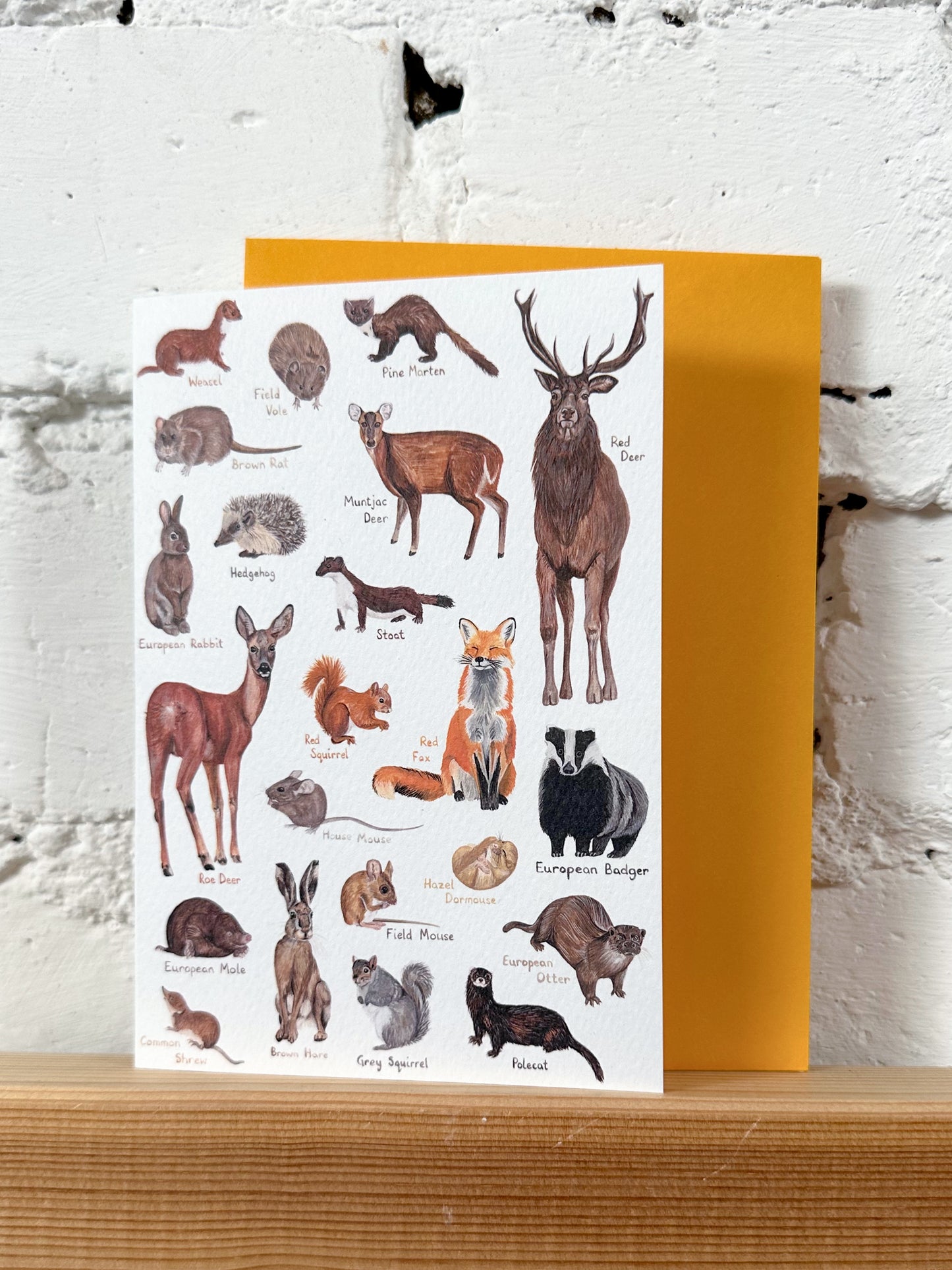 Woodland Animals Card