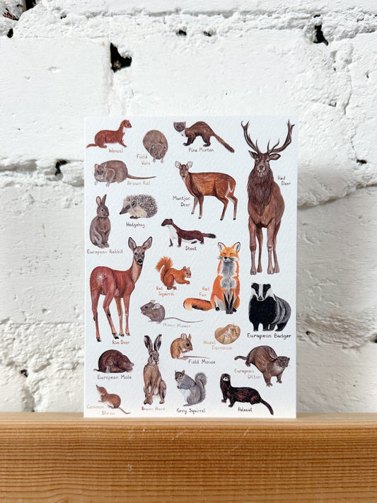 Woodland Animals Card