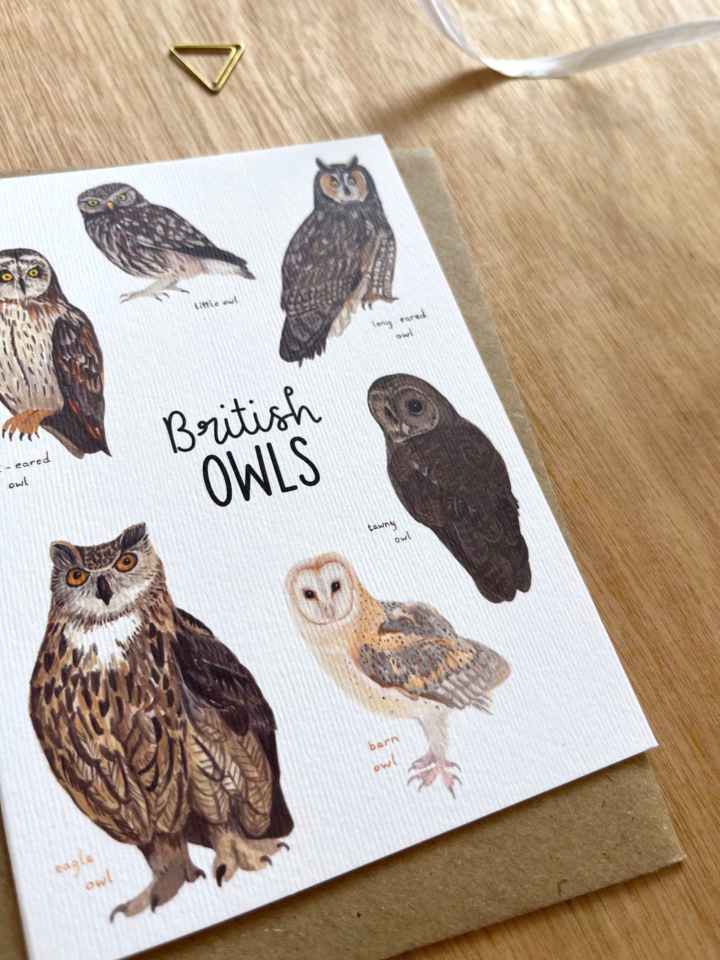 British Owls Card