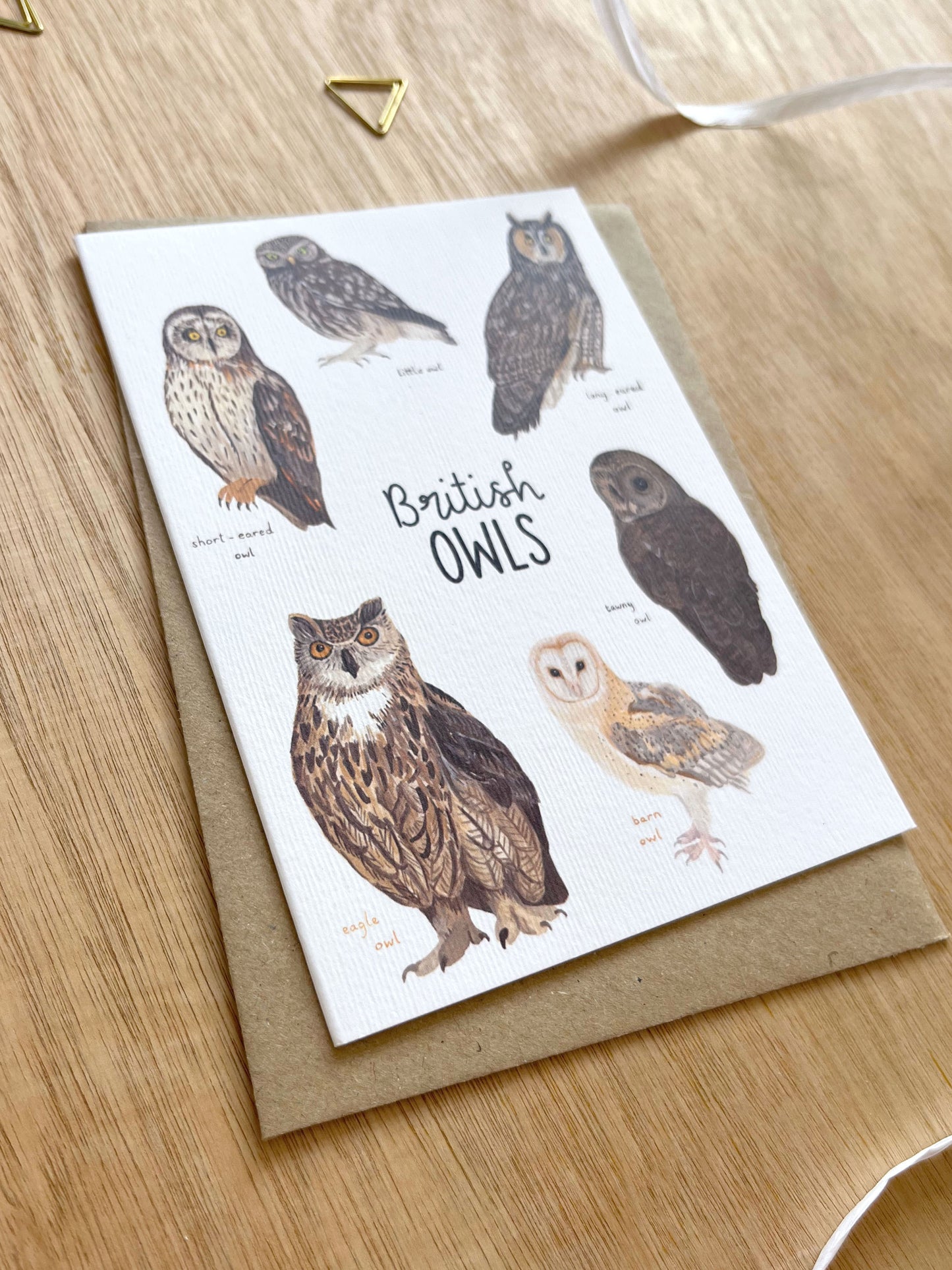 British Owls Card