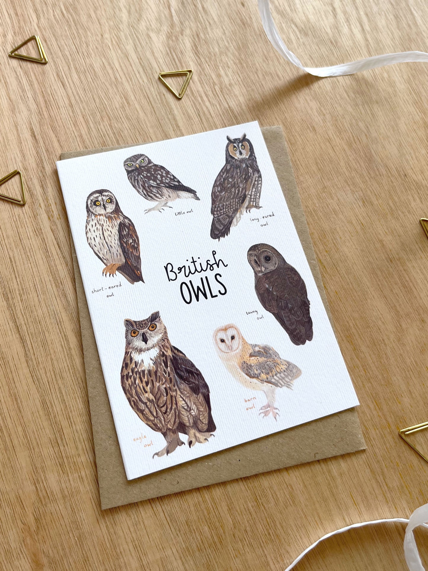 British Owls Card