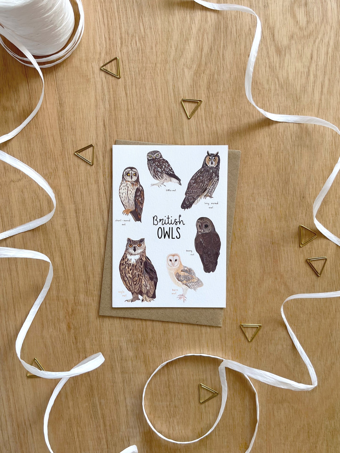 British Owls Card