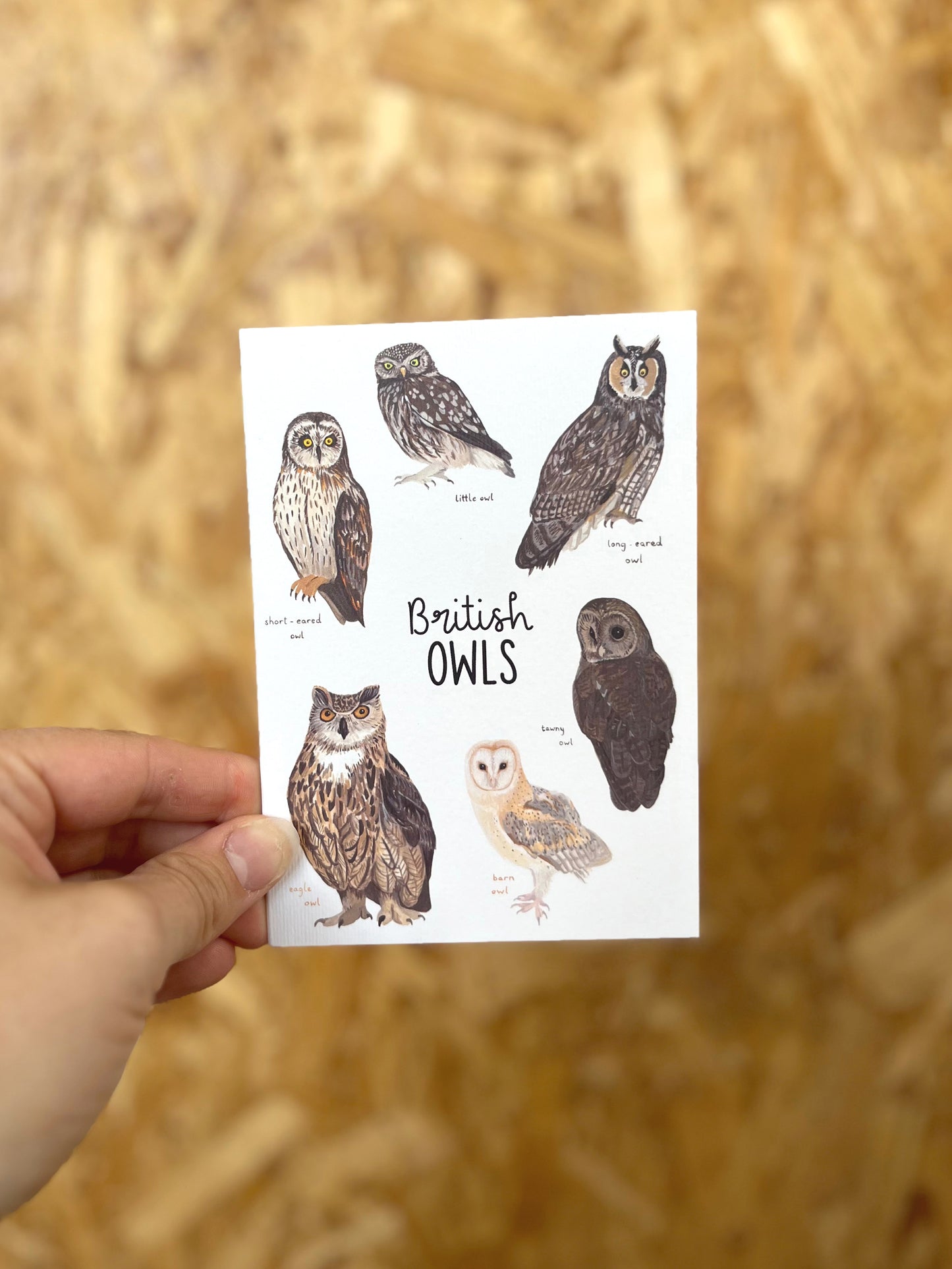 British Owls Card