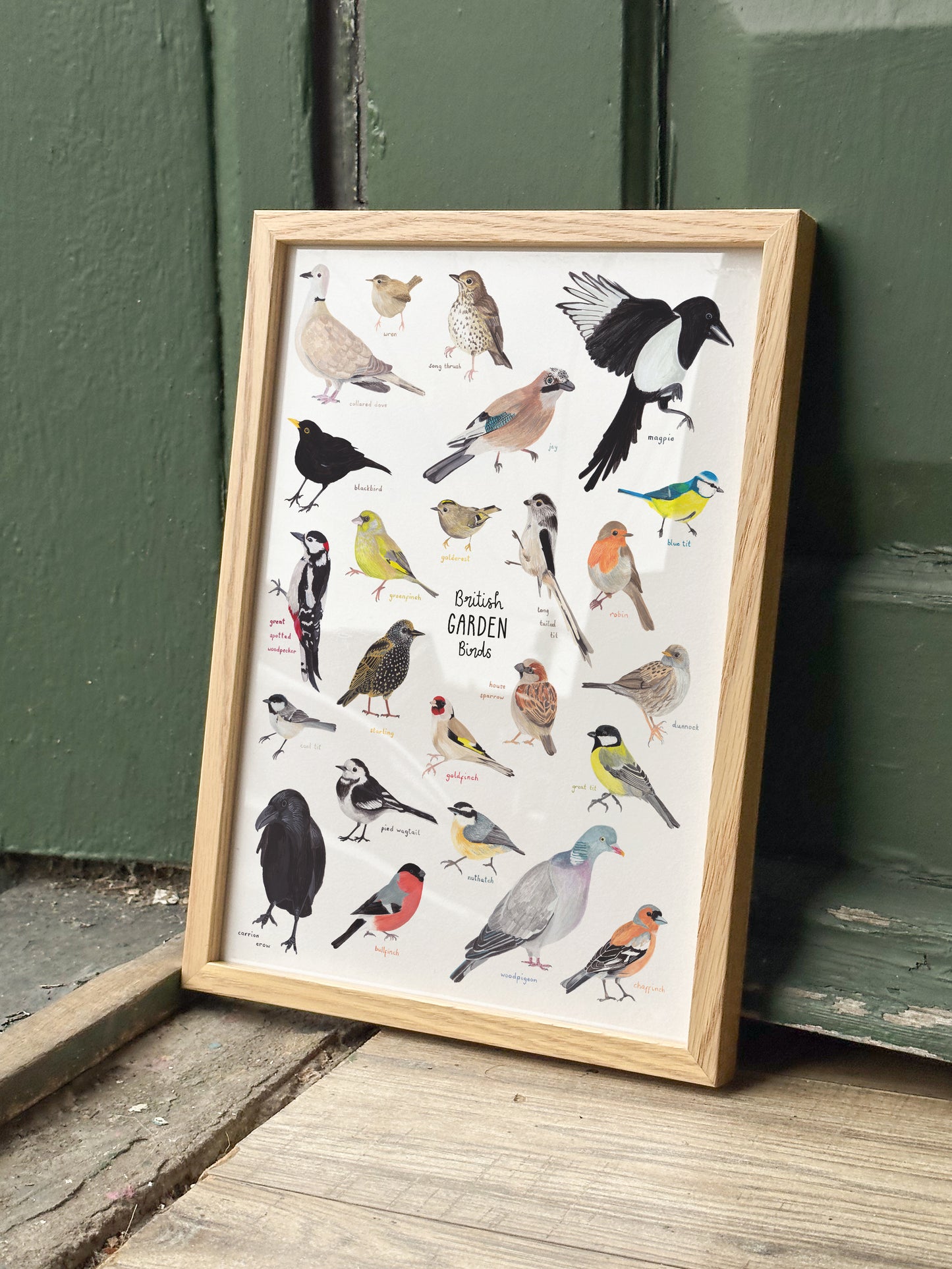 Garden Birds Print