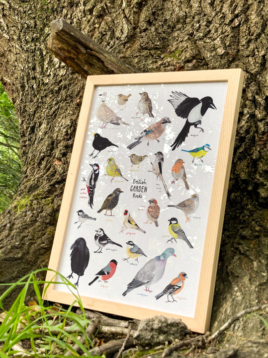 Garden Birds Print
