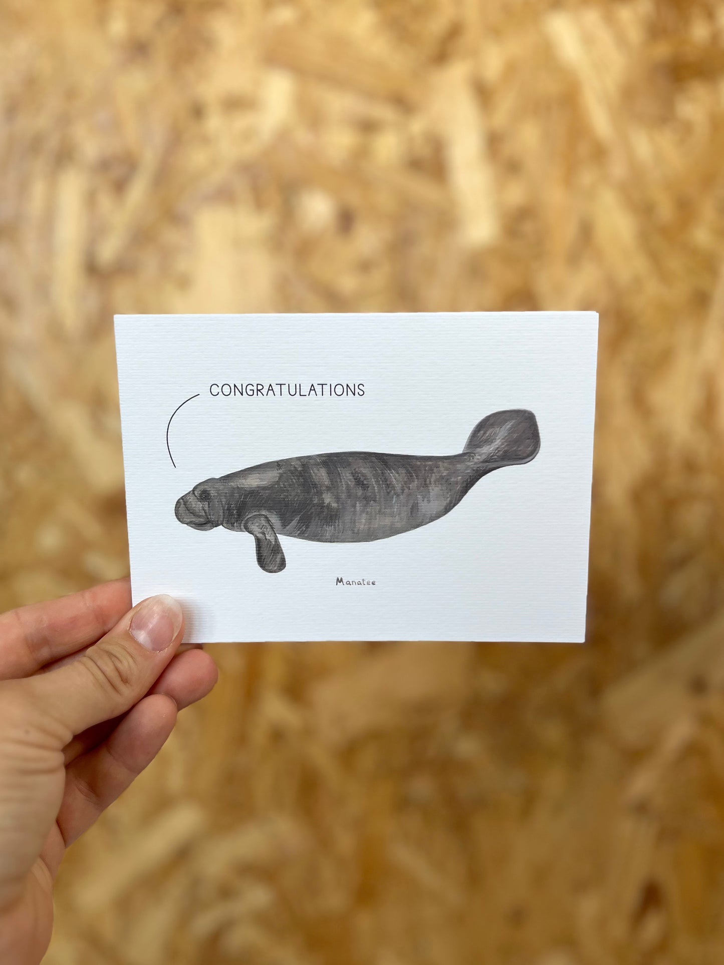 Congratulations Manatee Card