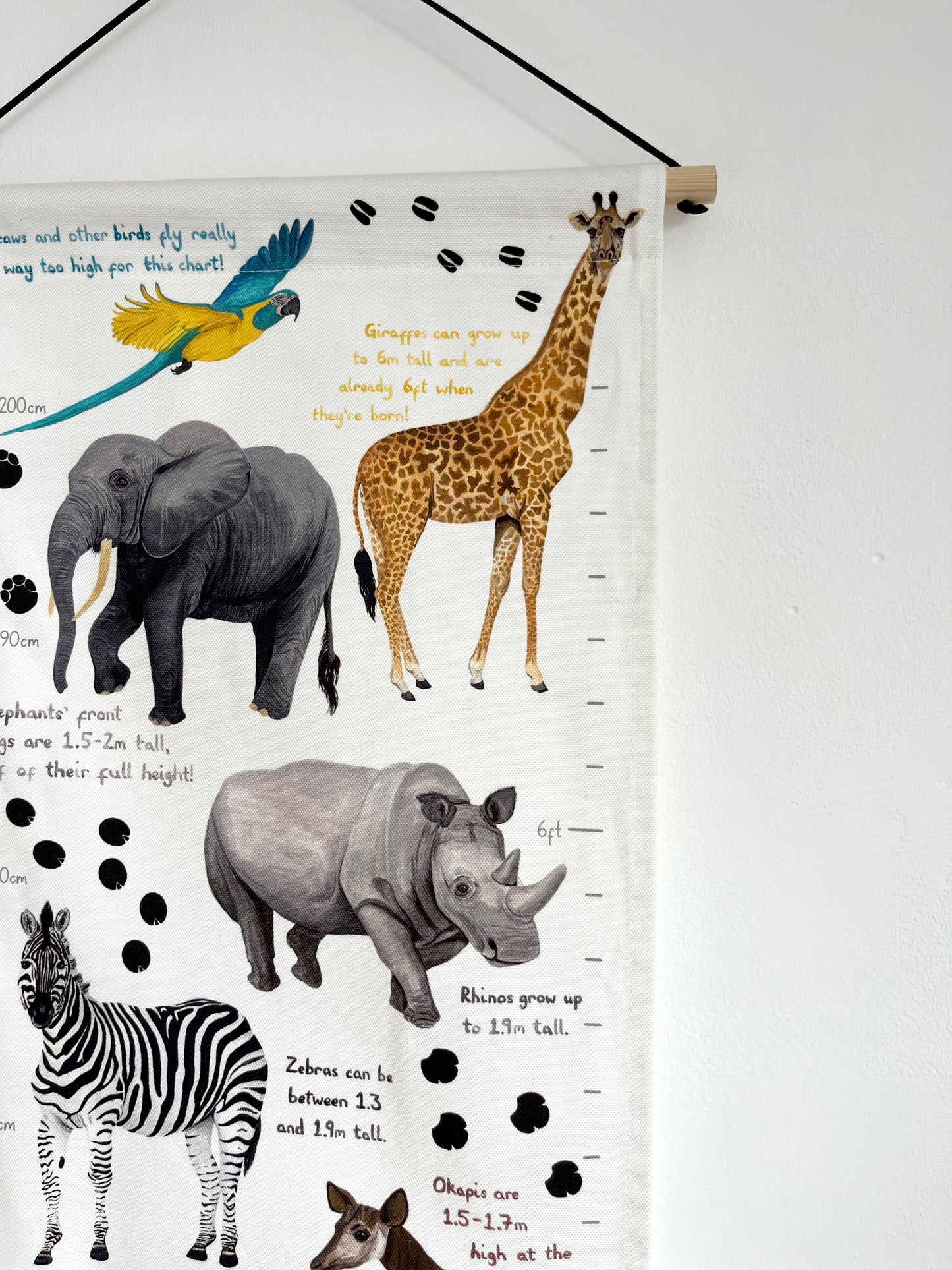 Day at the Zoo XL Fabric Height Chart